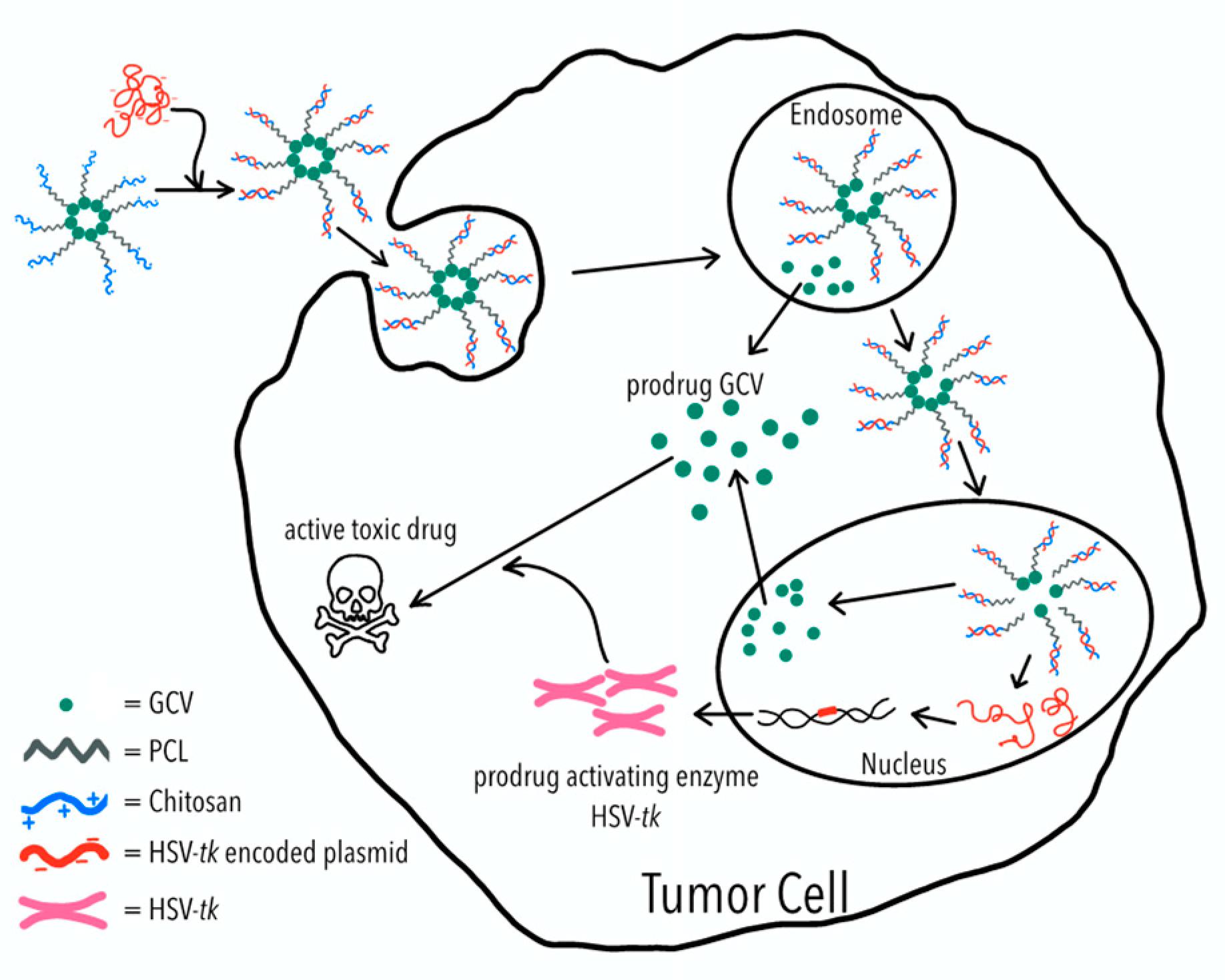 Molecules 26 01759 g001