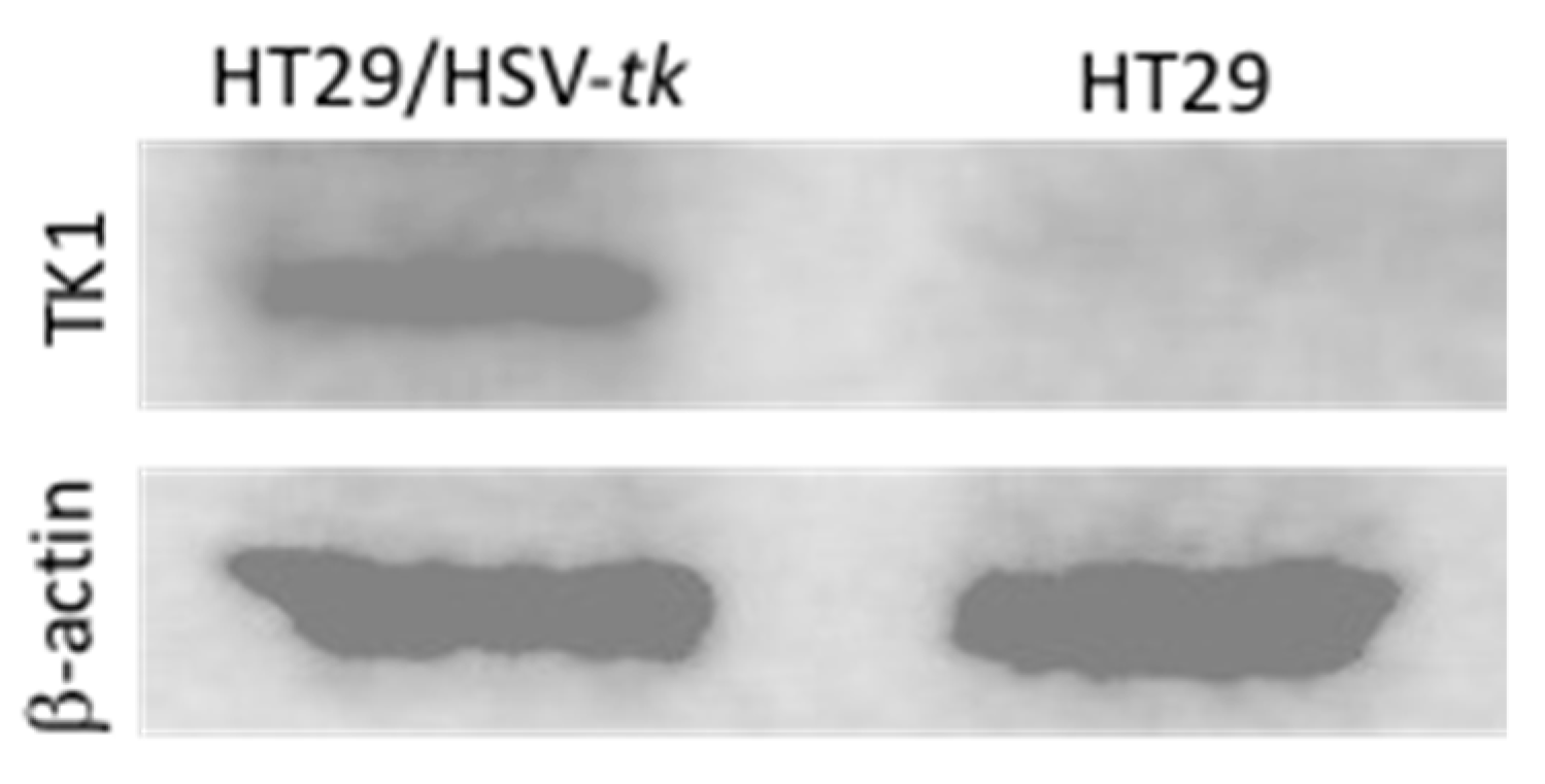 Molecules 26 01759 g008