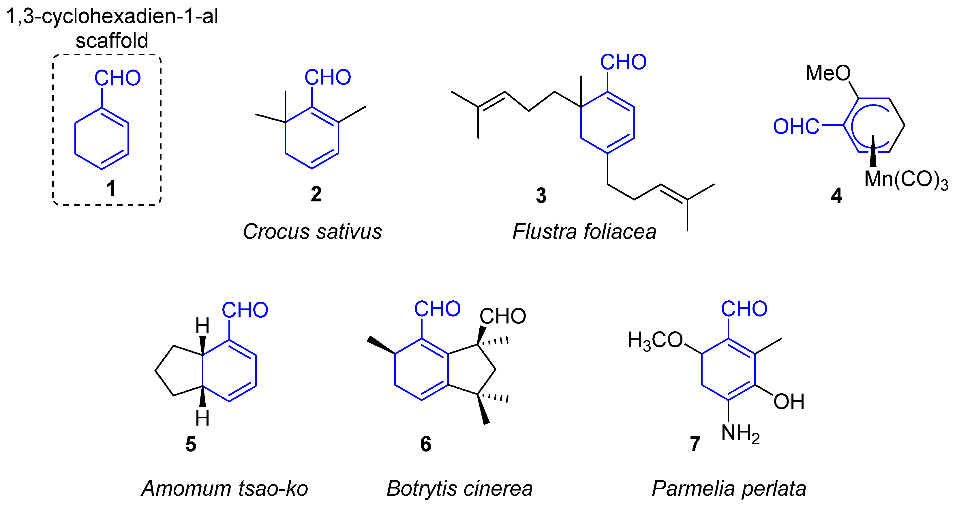 Molecules 26 01772 g001