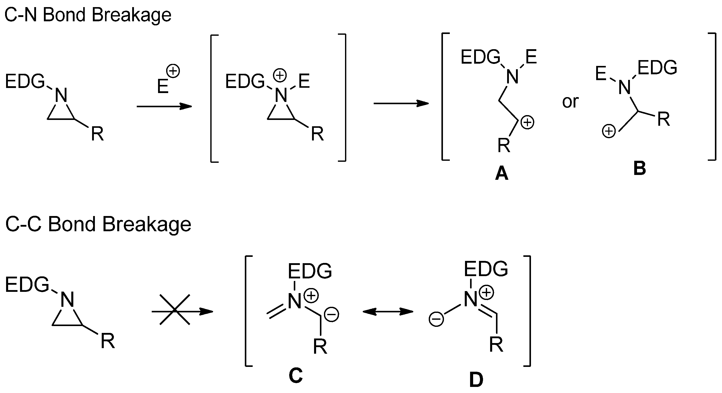 Molecules 26 01774 sch001