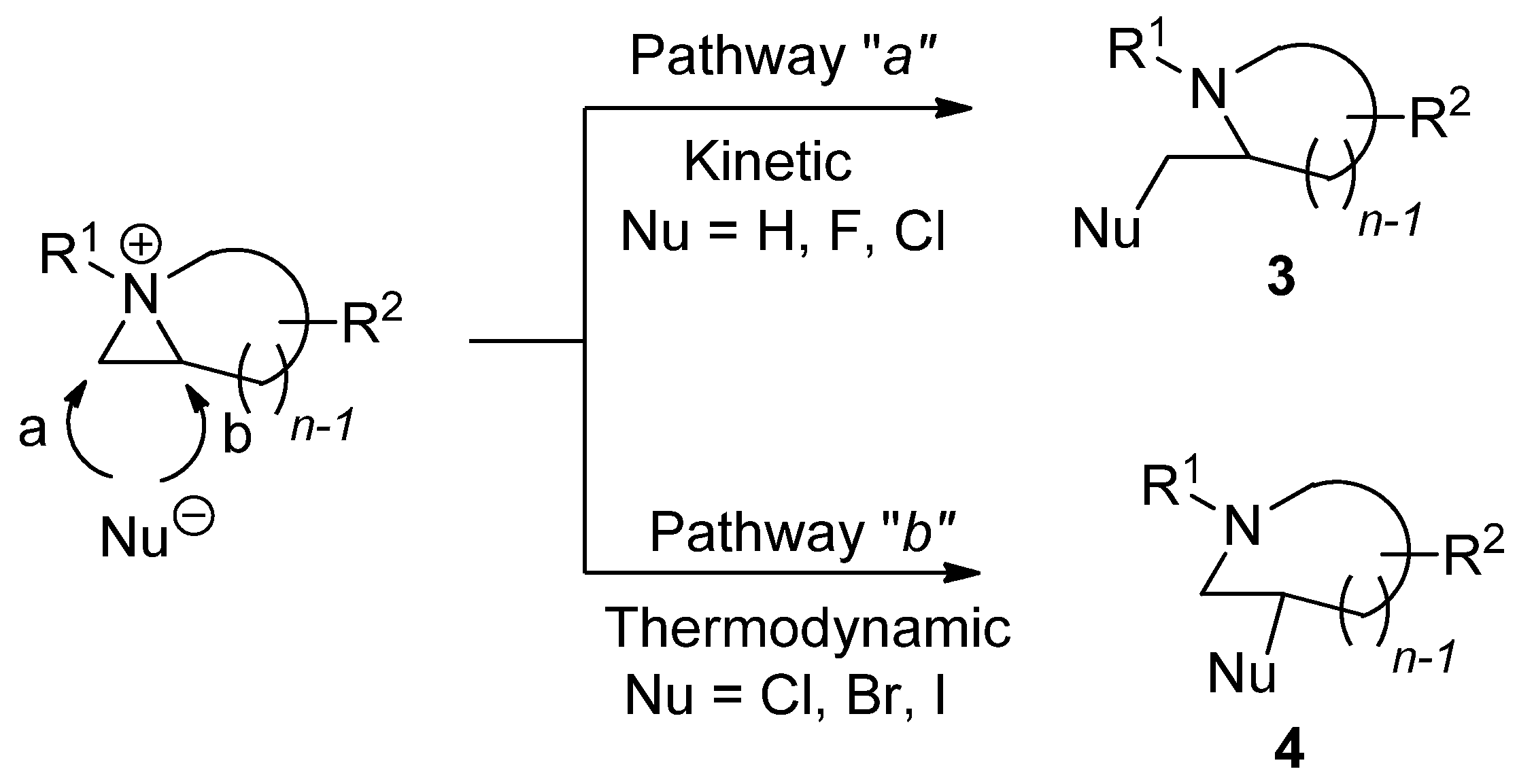 Molecules 26 01774 sch003