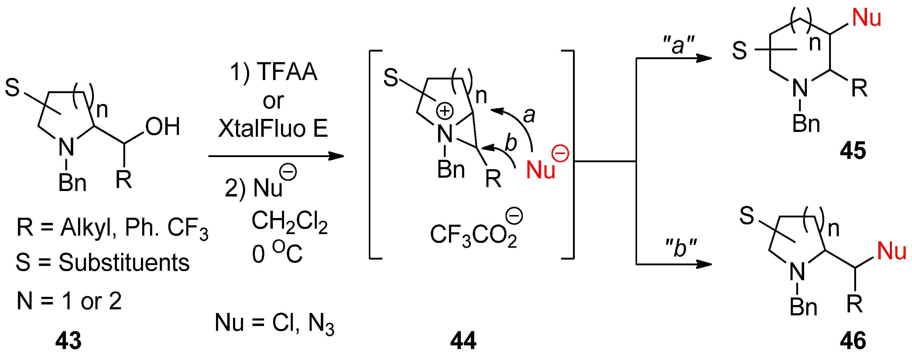 Molecules 26 01774 sch013