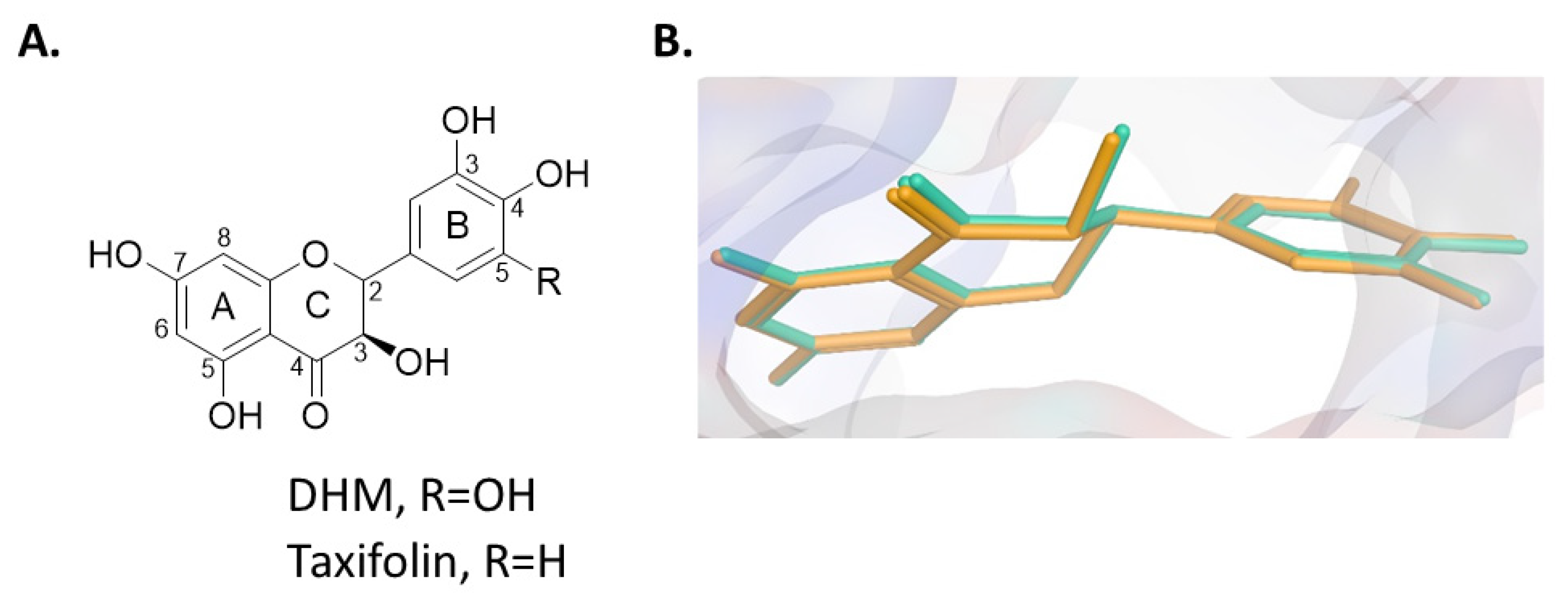 Molecules 26 01791 g005 Molecules 26 01791 g005