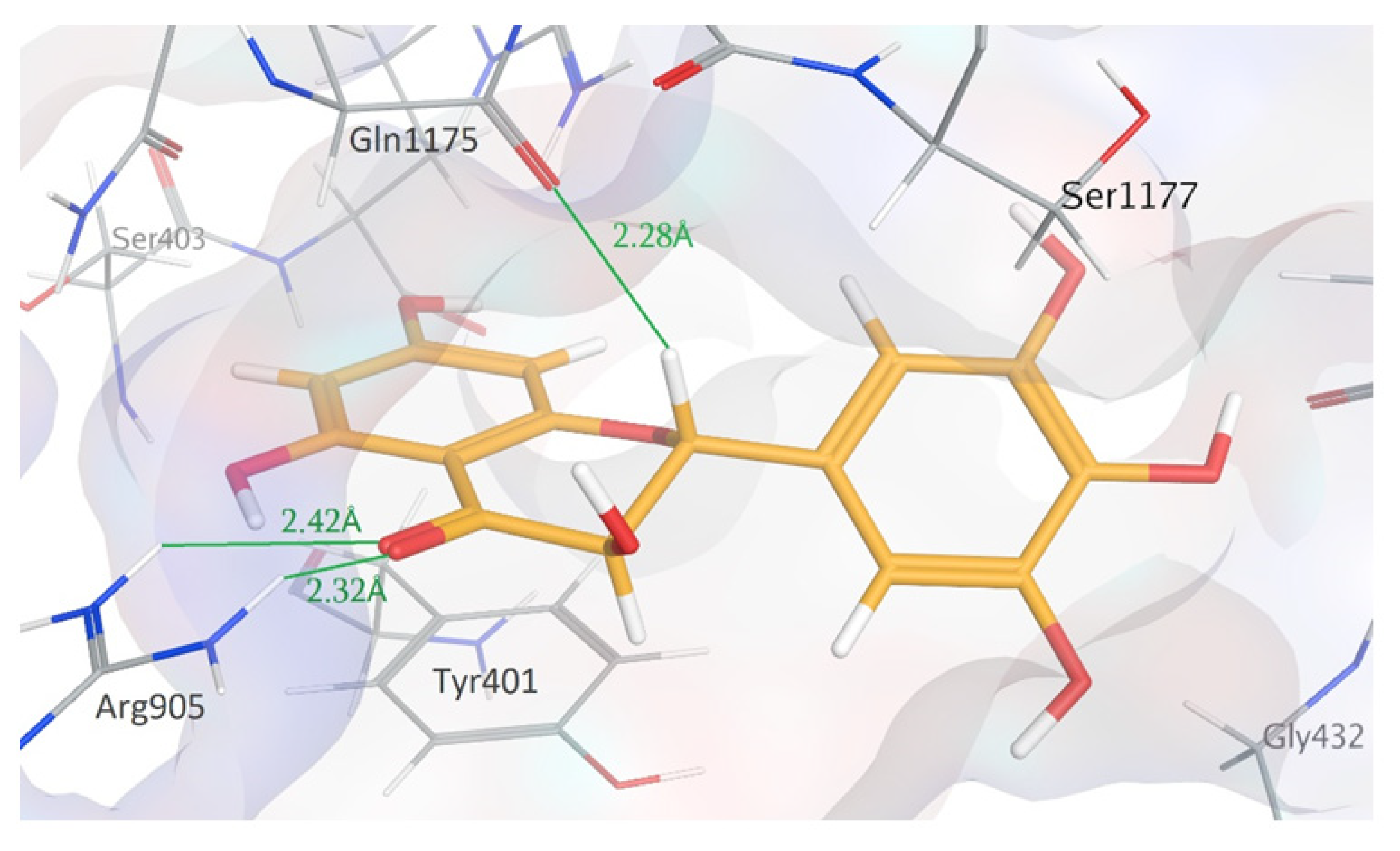 Molecules 26 01791 g006 Molecules 26 01791 g006