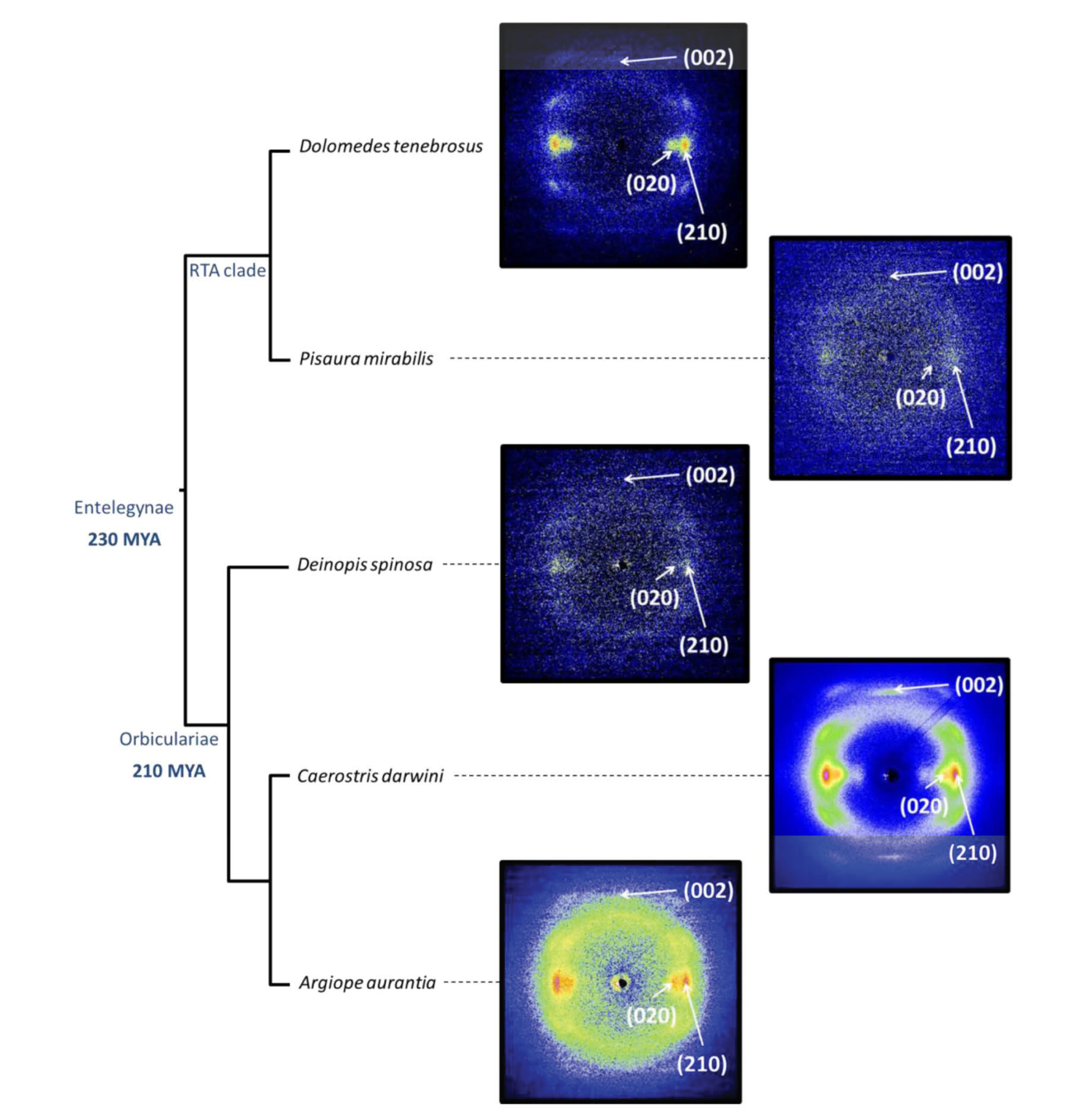Molecules 26 01794 g003a