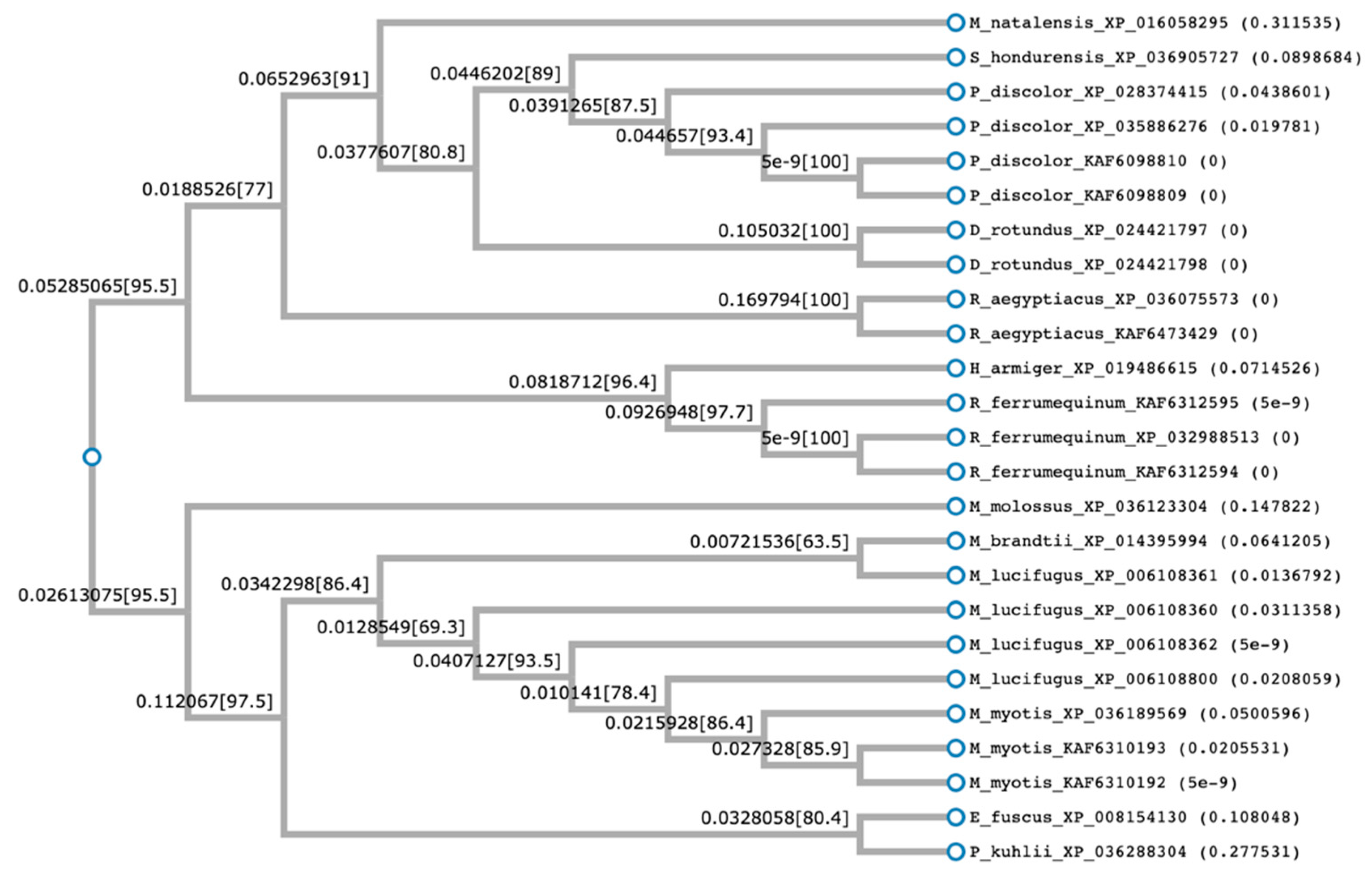 Molecules 26 01811 g002