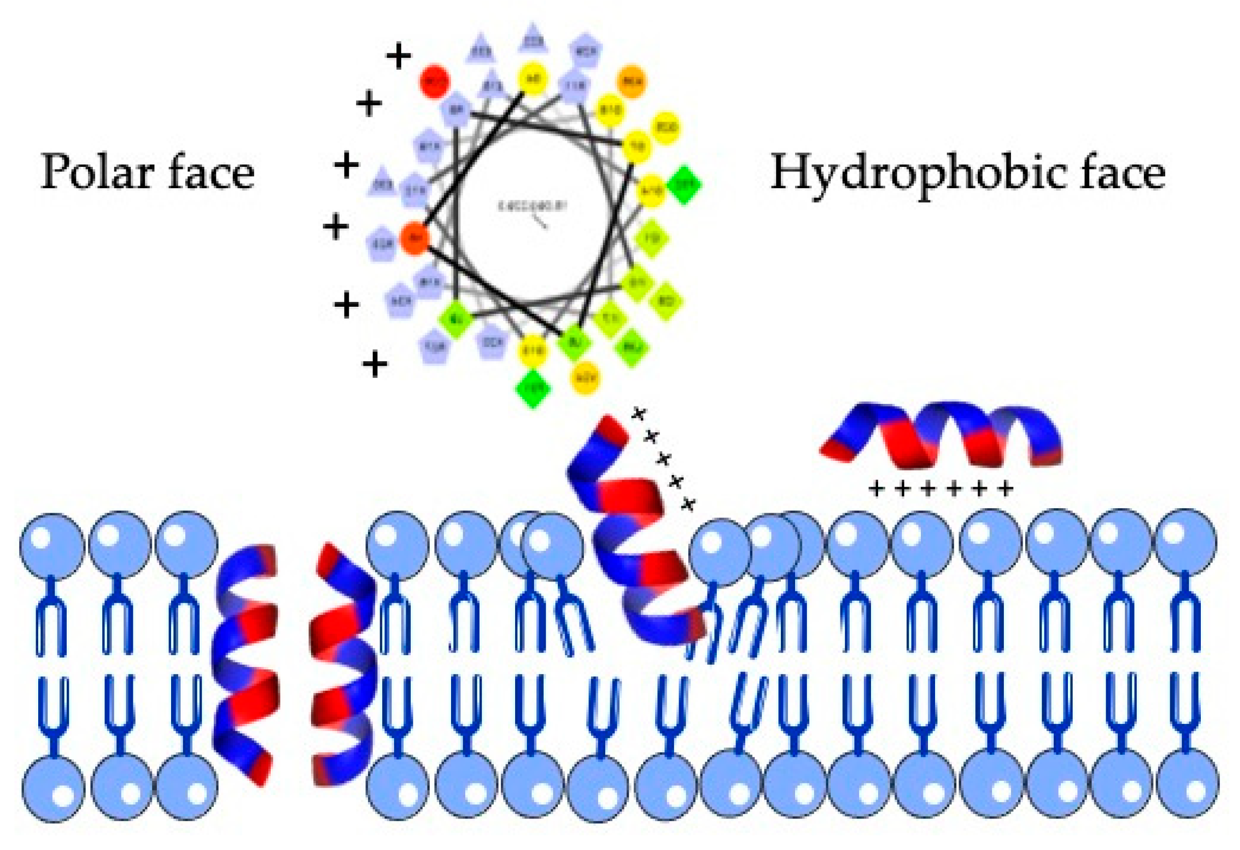Molecules 26 01811 g003