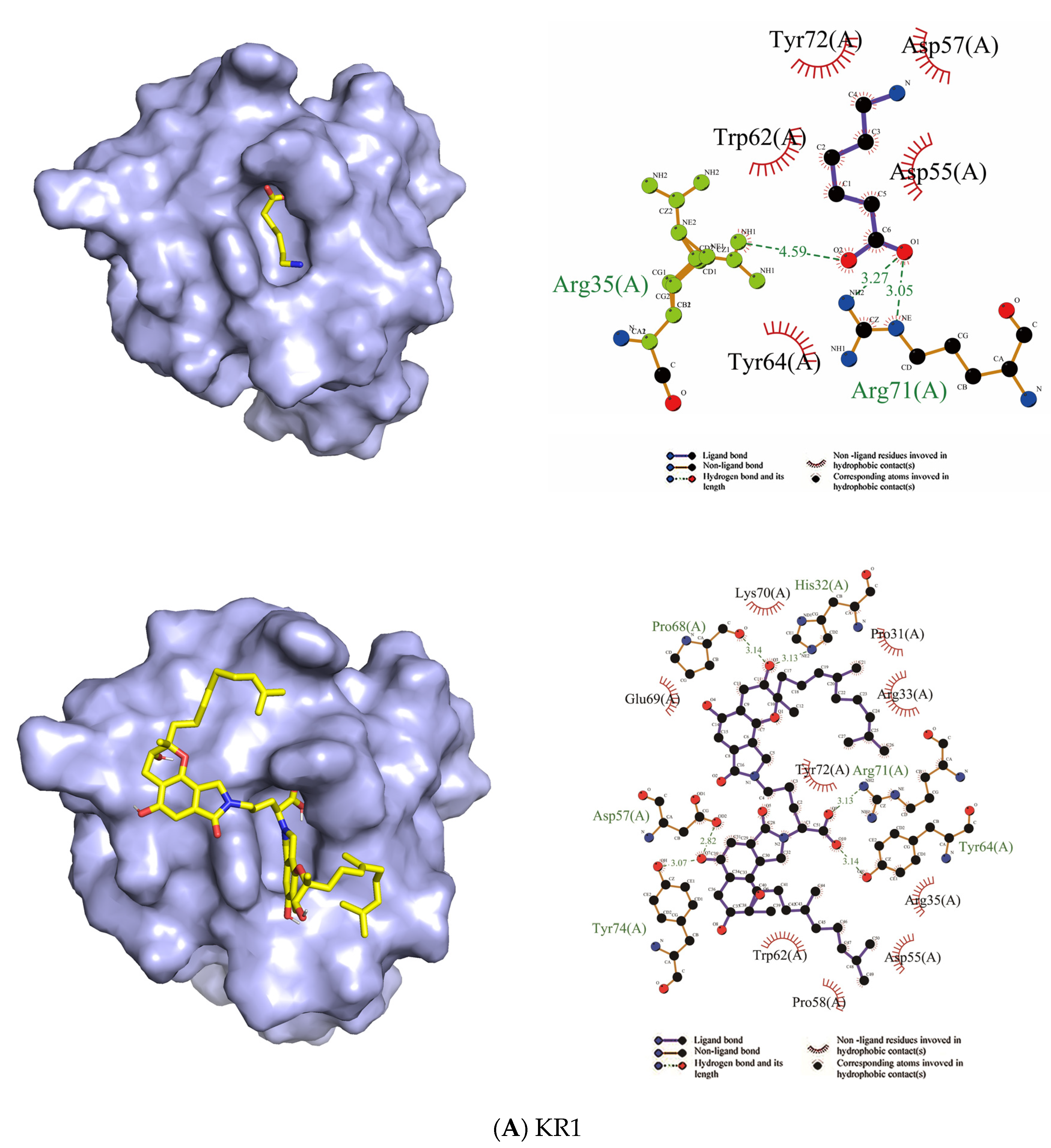 Molecules 26 01816 g007a Molecules 26 01816 g007a