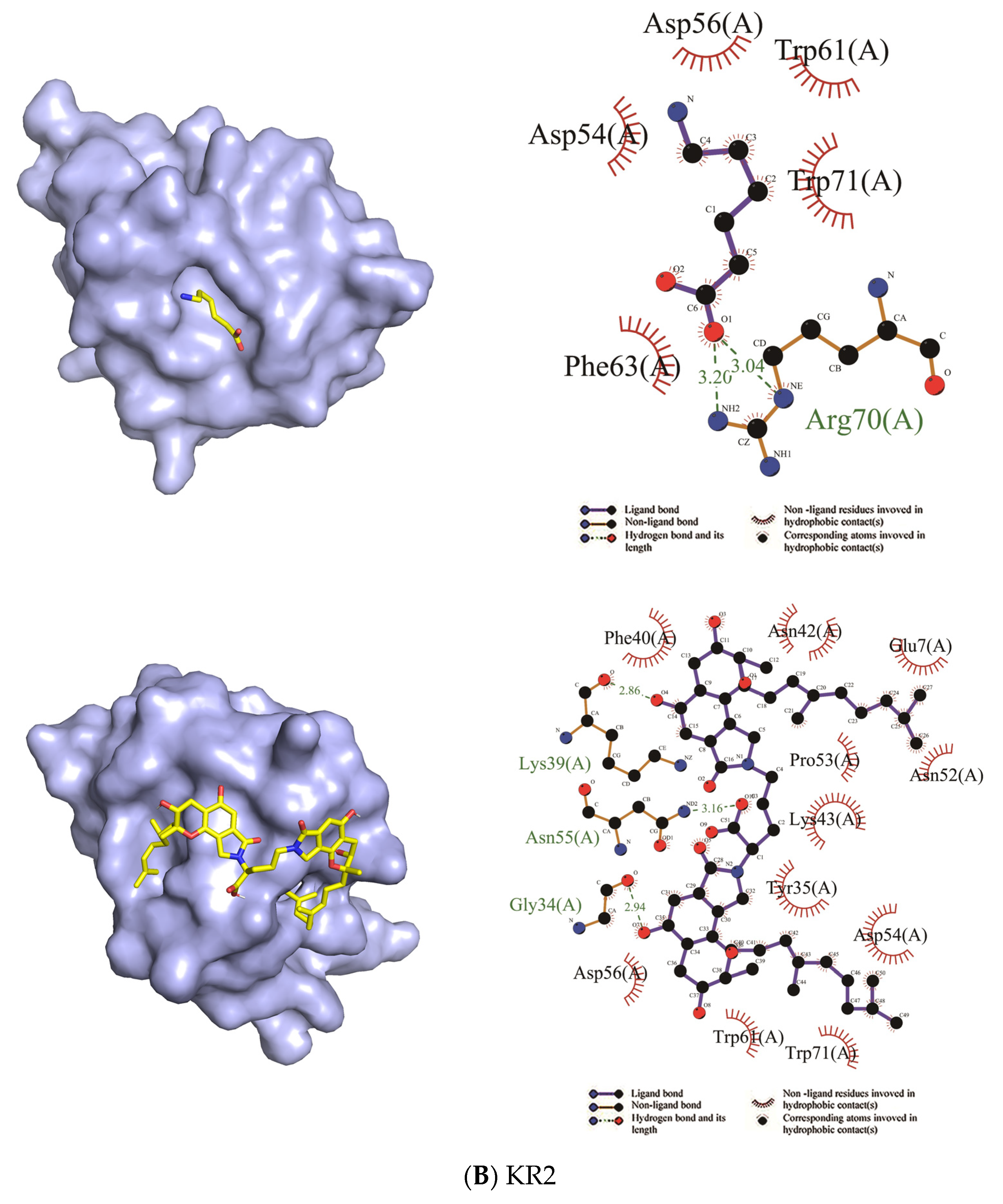 Molecules 26 01816 g007b Molecules 26 01816 g007b