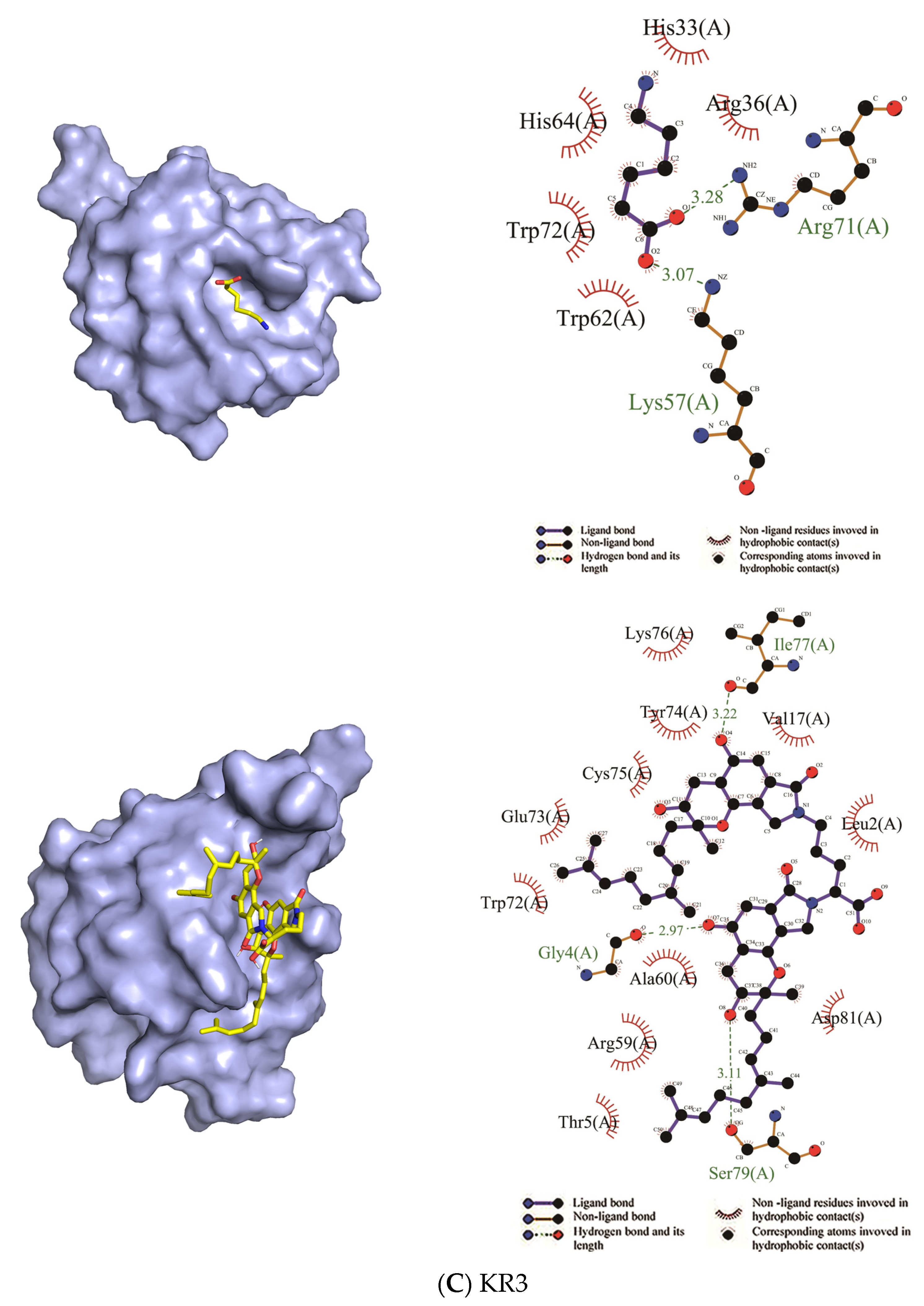 Molecules 26 01816 g007c Molecules 26 01816 g007c
