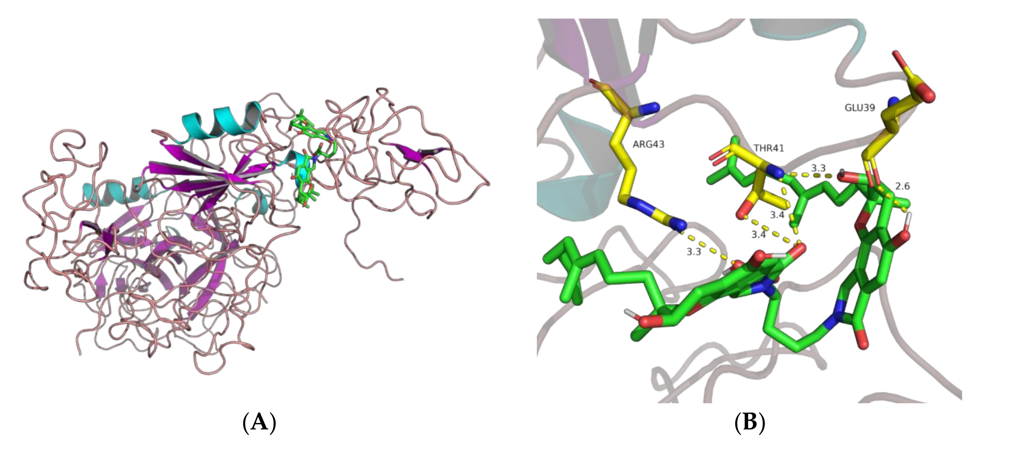 Molecules 26 01816 g008 Molecules 26 01816 g008