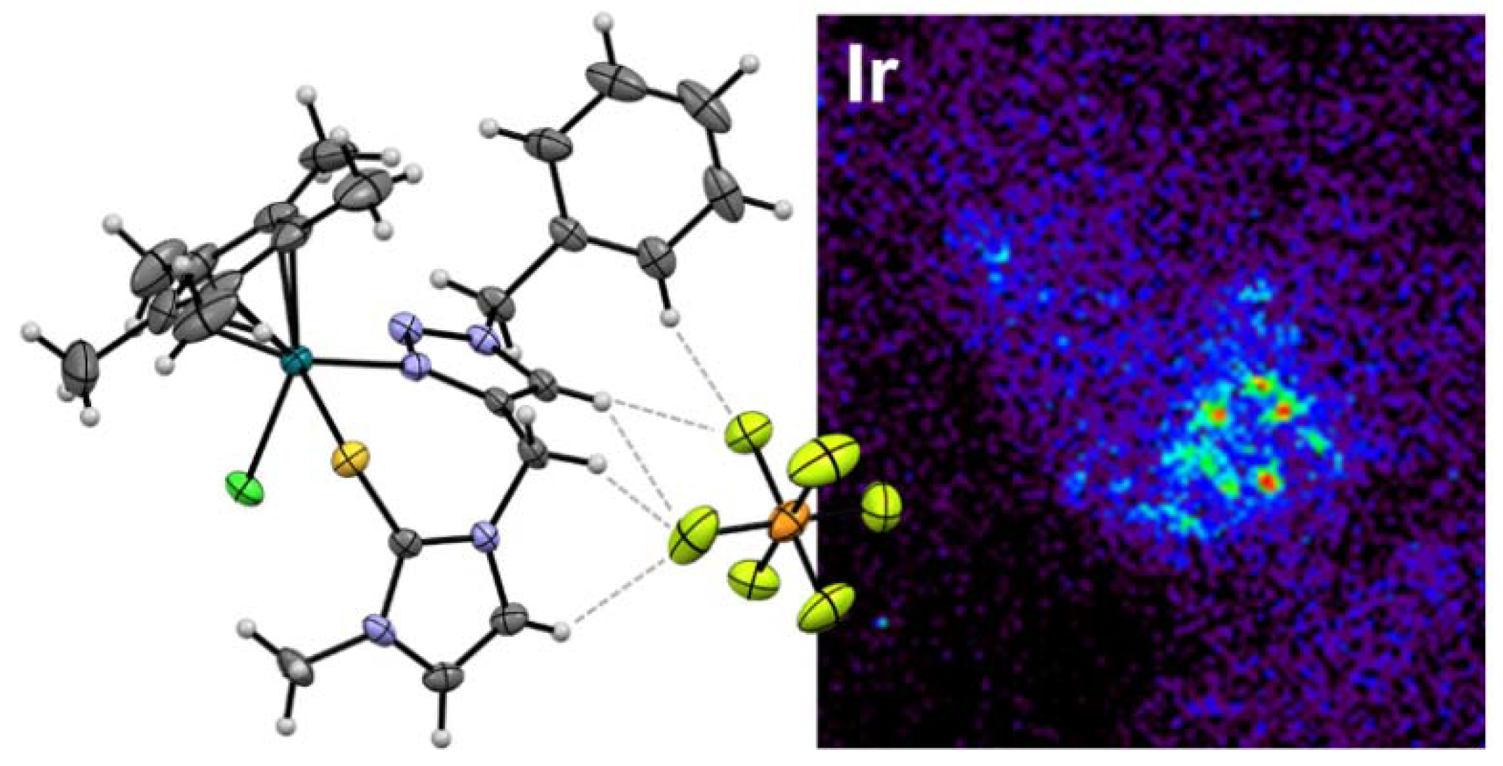 Molecules 26 01821 g001