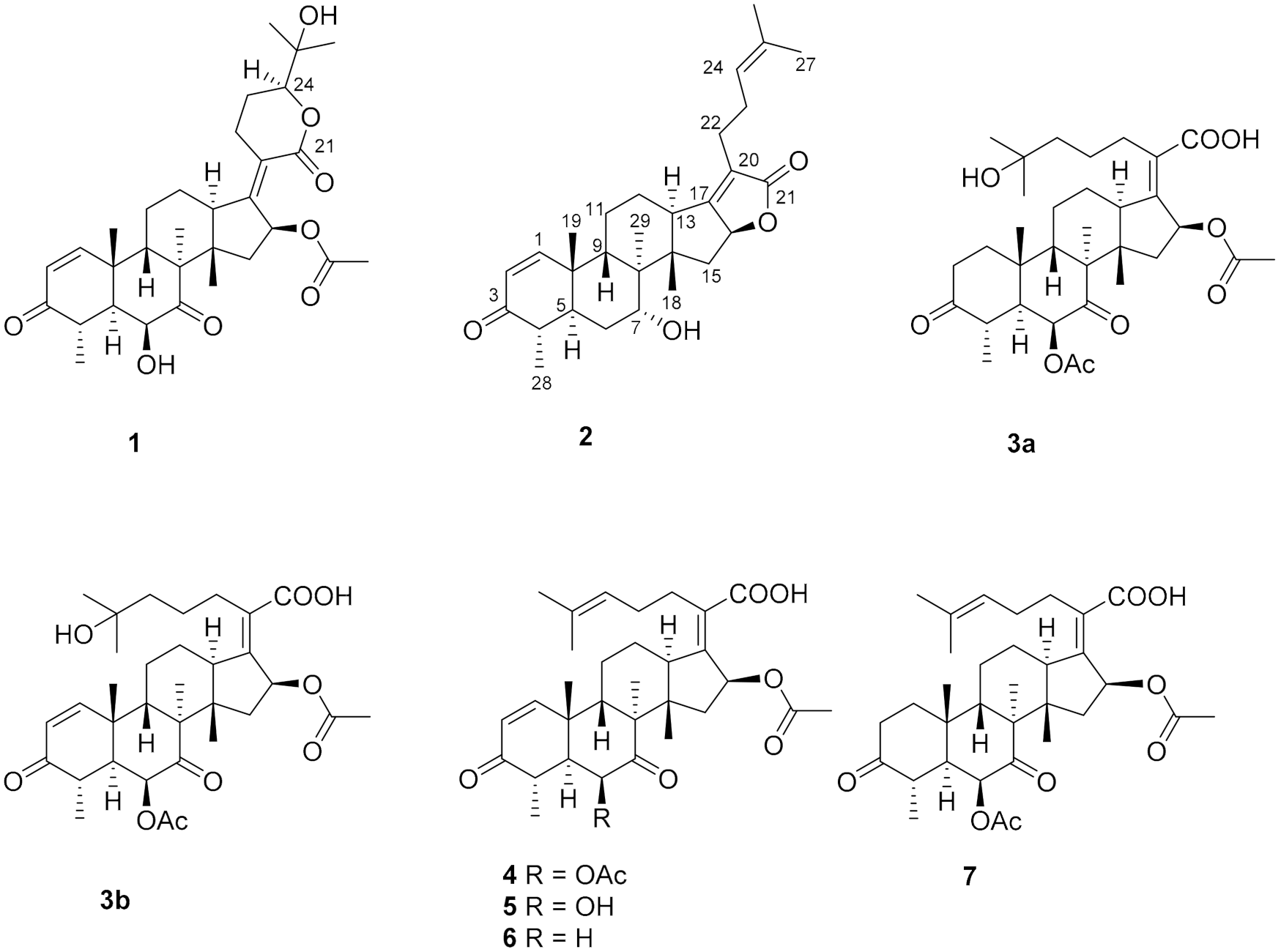 Molecules 26 01828 g001 Molecules 26 01828 g001