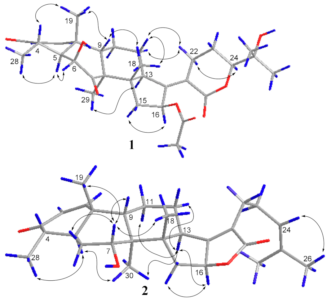 Molecules 26 01828 g003 Molecules 26 01828 g003