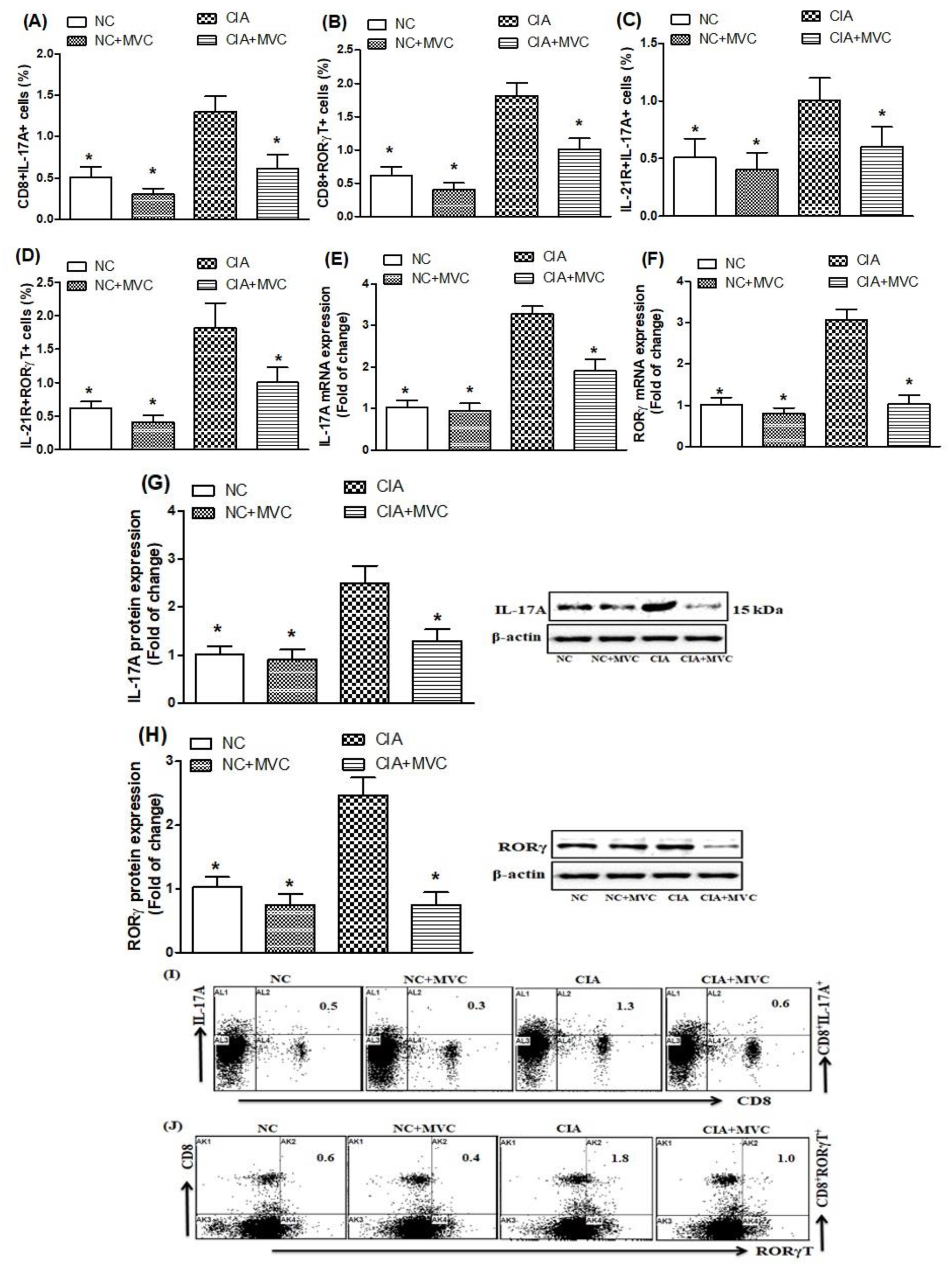 Molecules 26 01839 g004