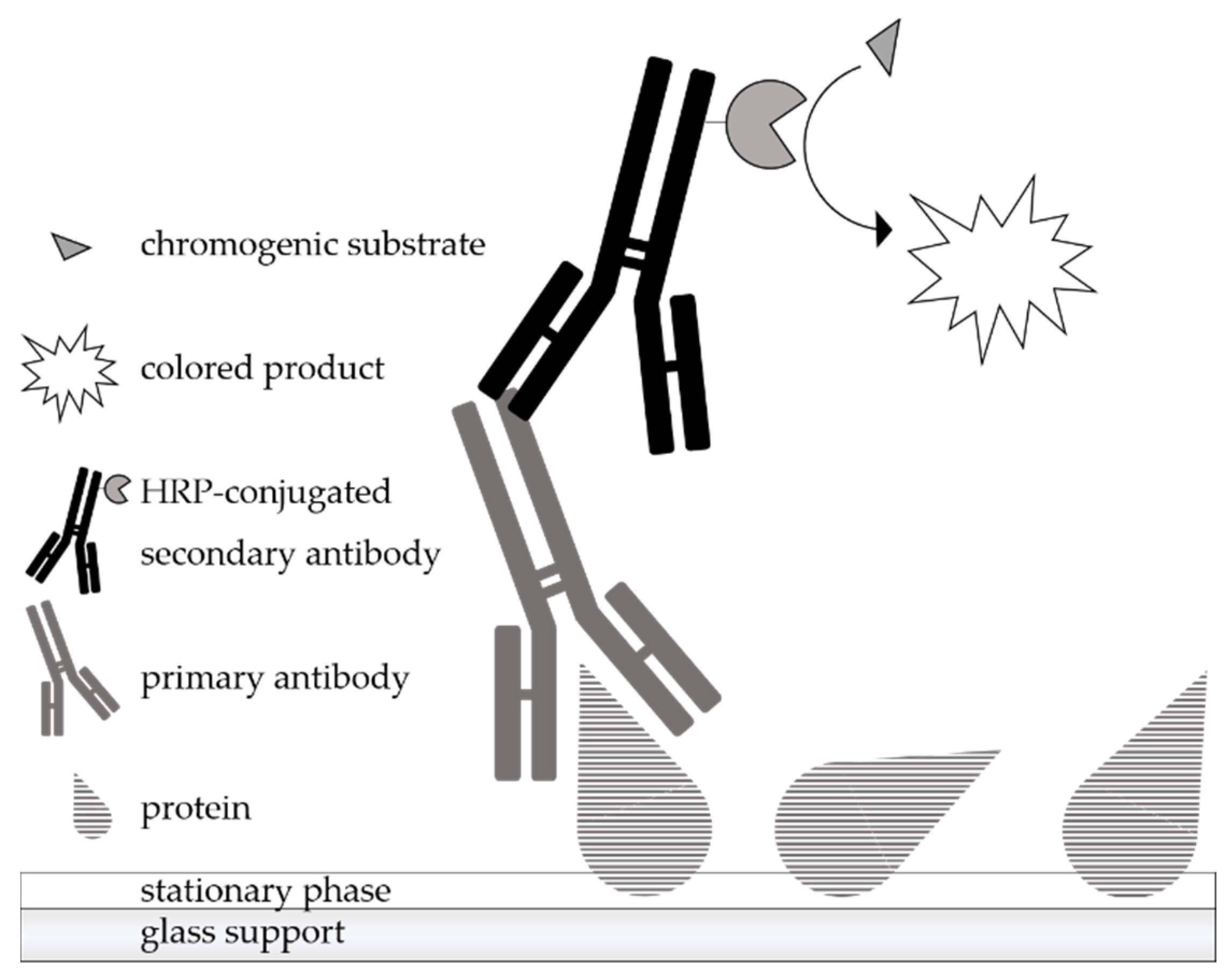 Molecules 26 01842 g001