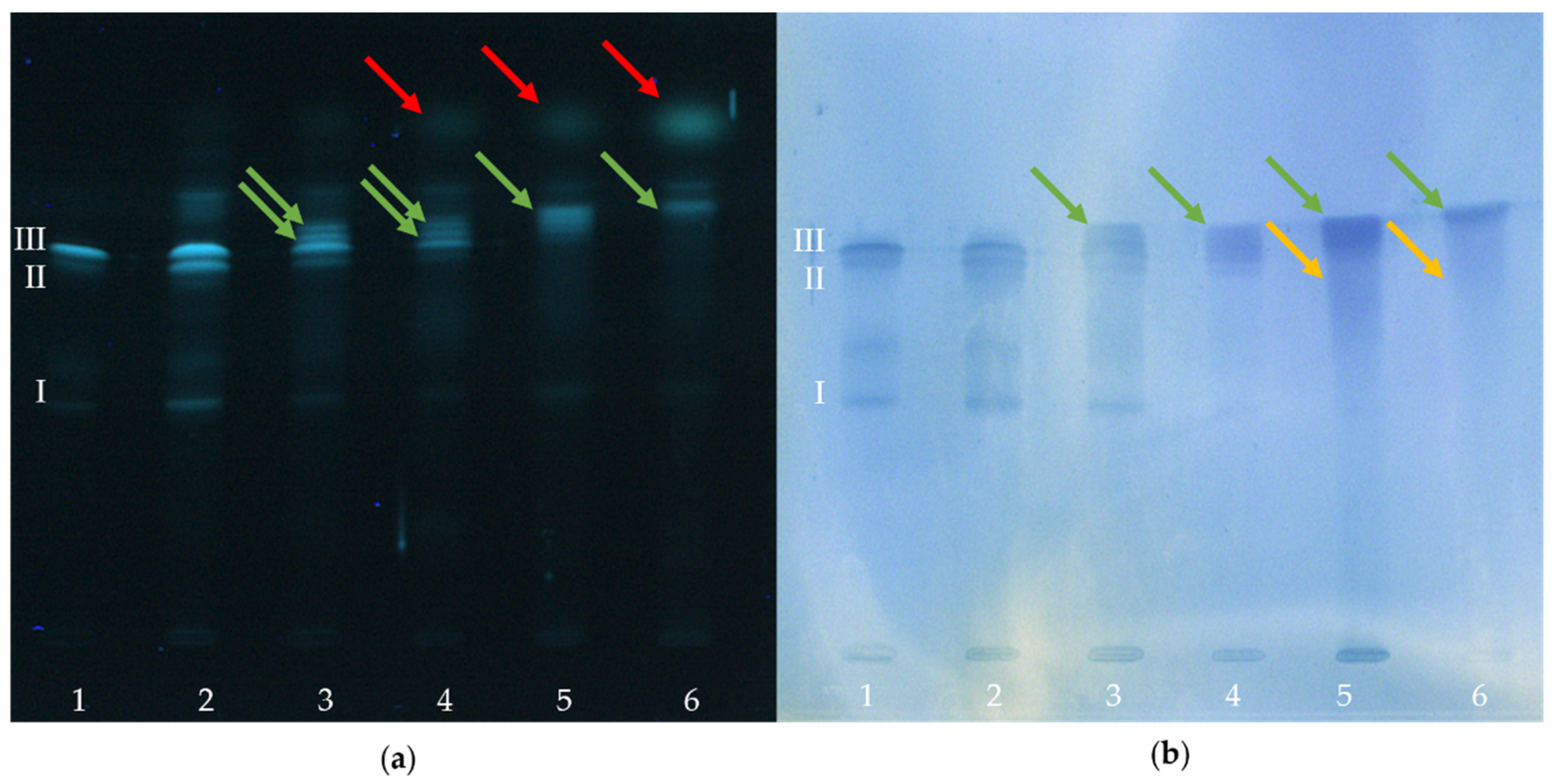 Molecules 26 01842 g002