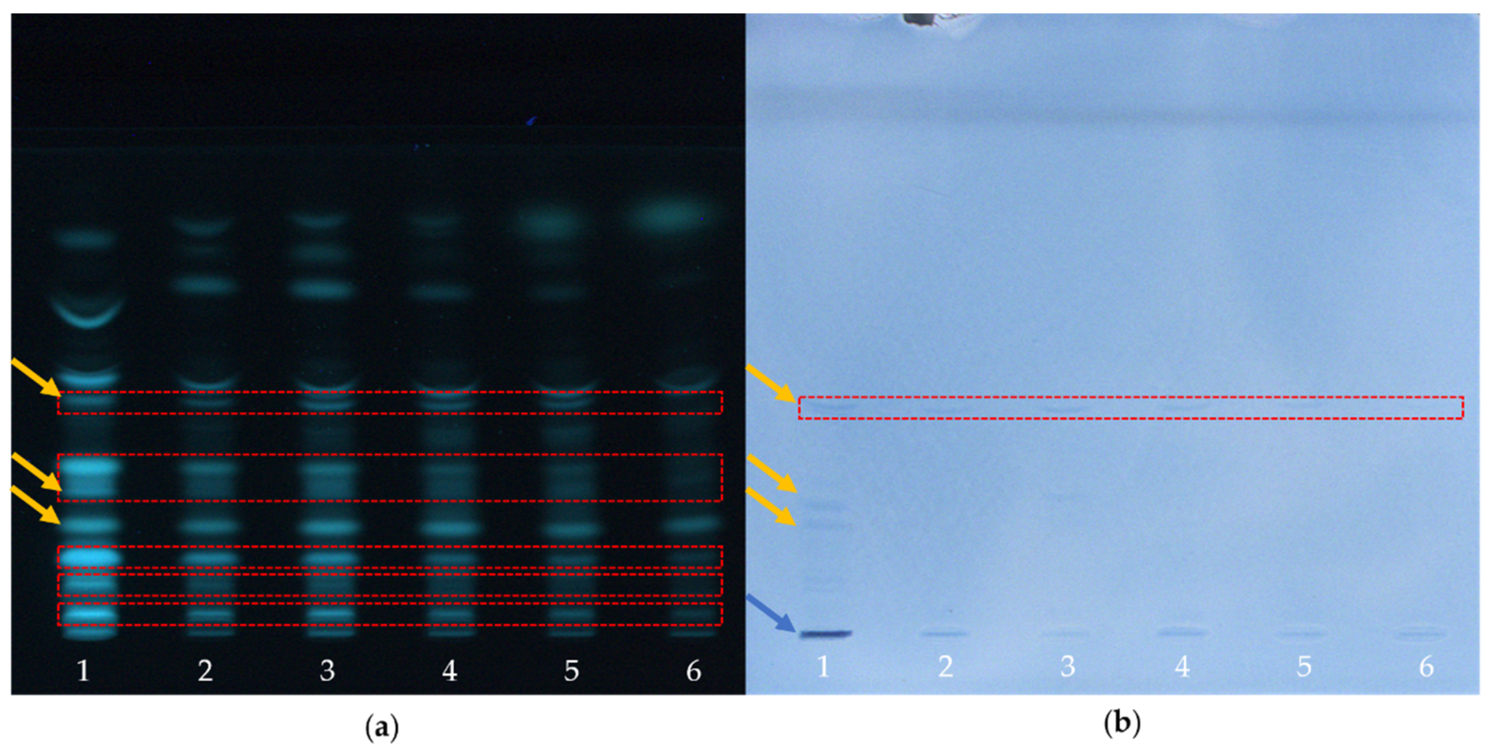 Molecules 26 01842 g003