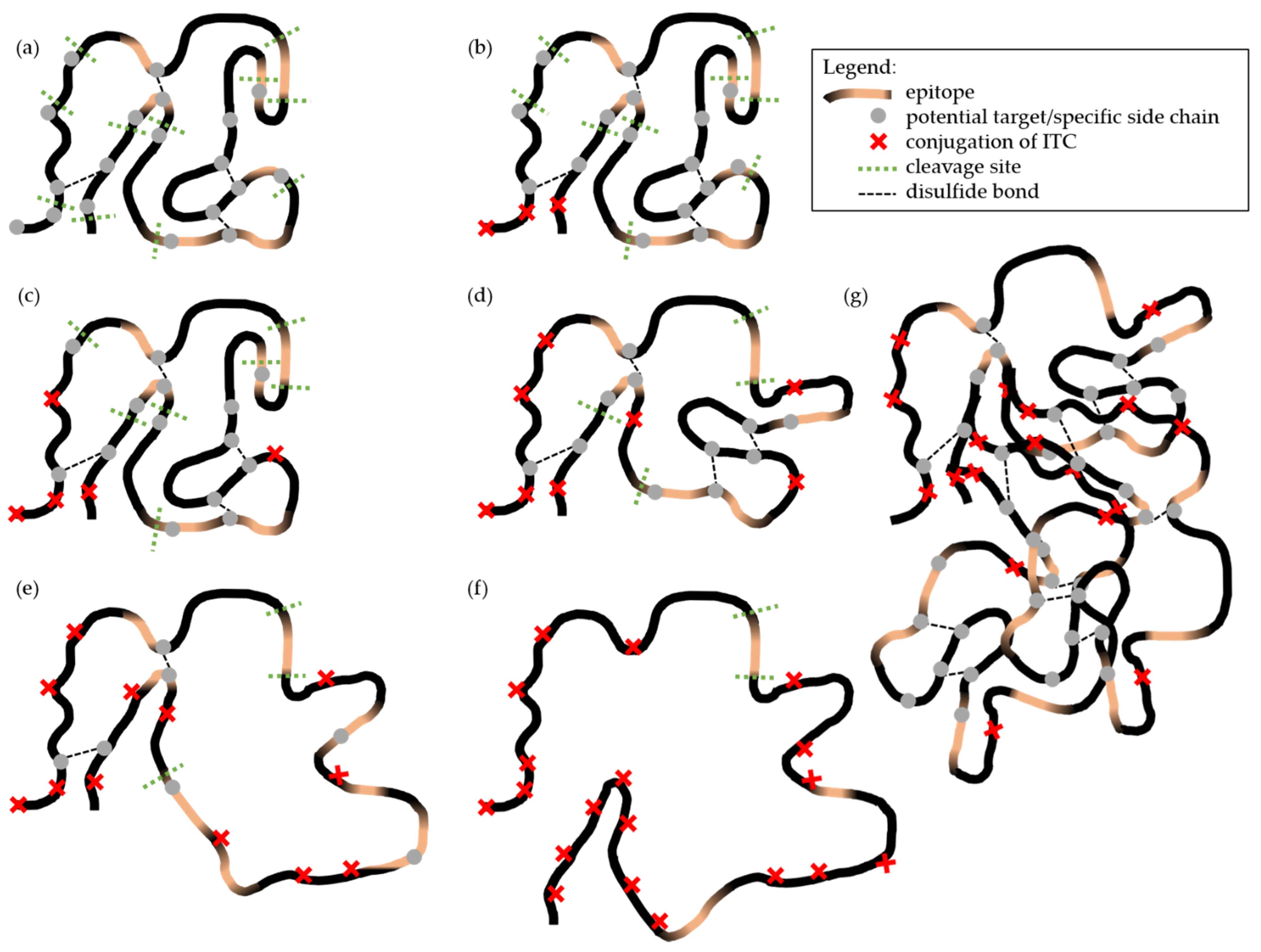 Molecules 26 01842 g004