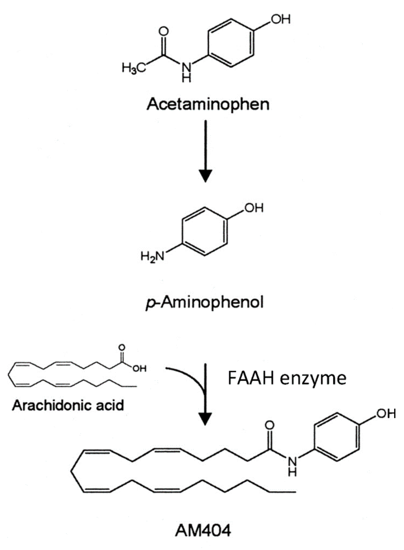 Molecules 26 01845 g004 Molecules 26 01845 g004