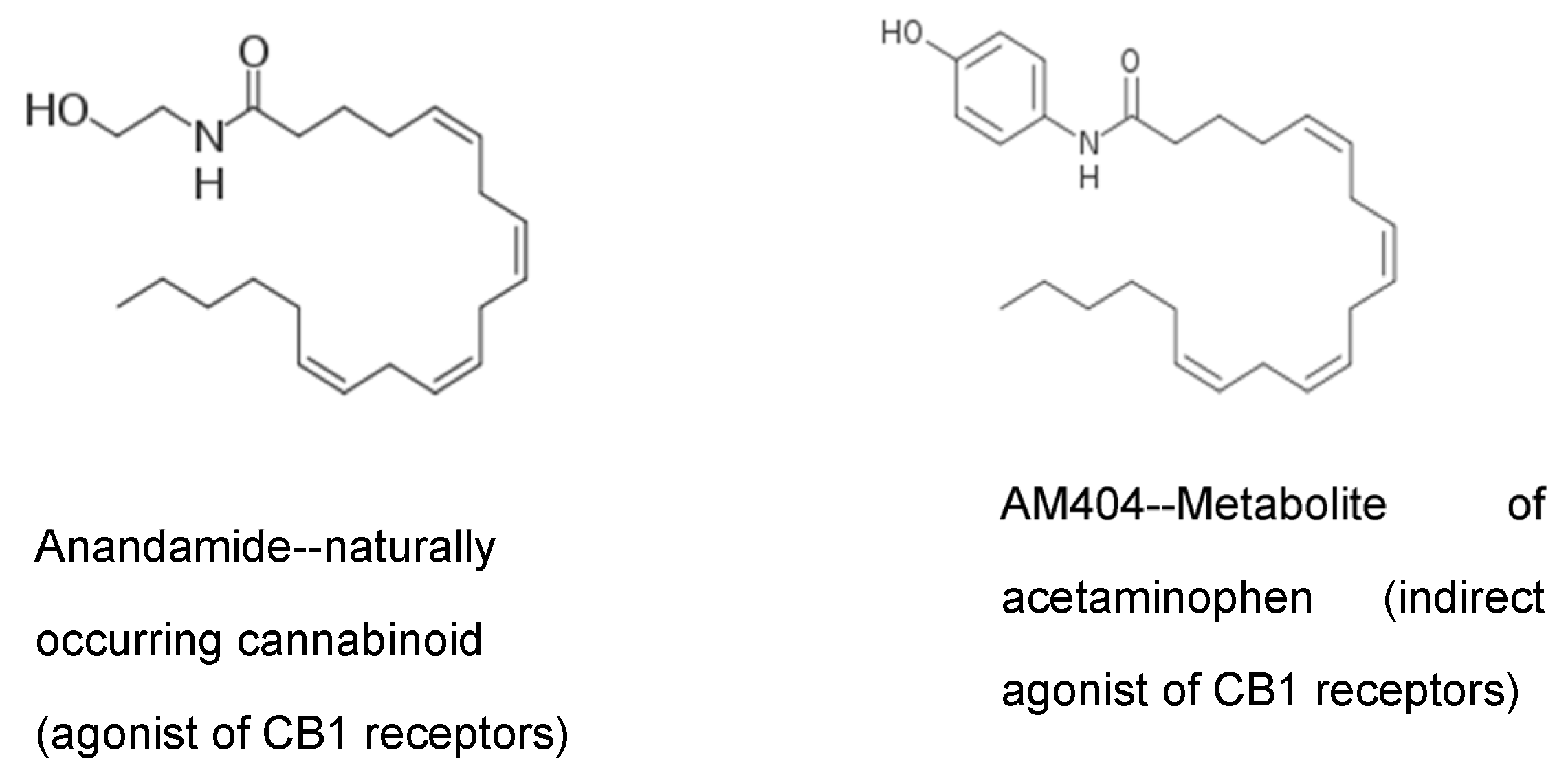Molecules 26 01845 g005 Molecules 26 01845 g005