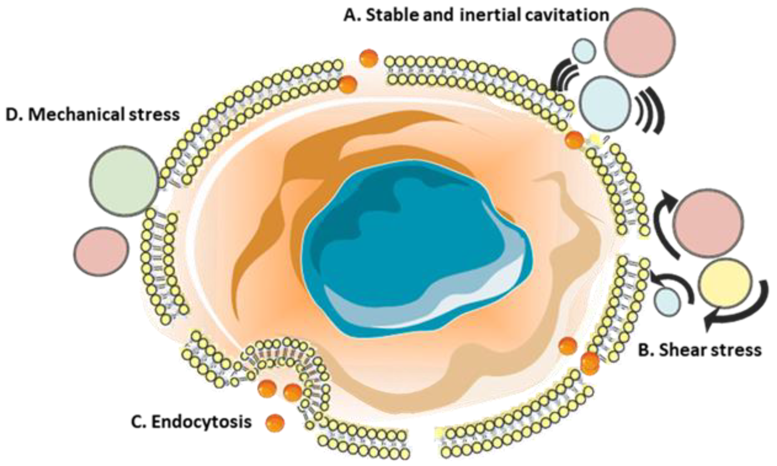 Molecules 26 01850 g004