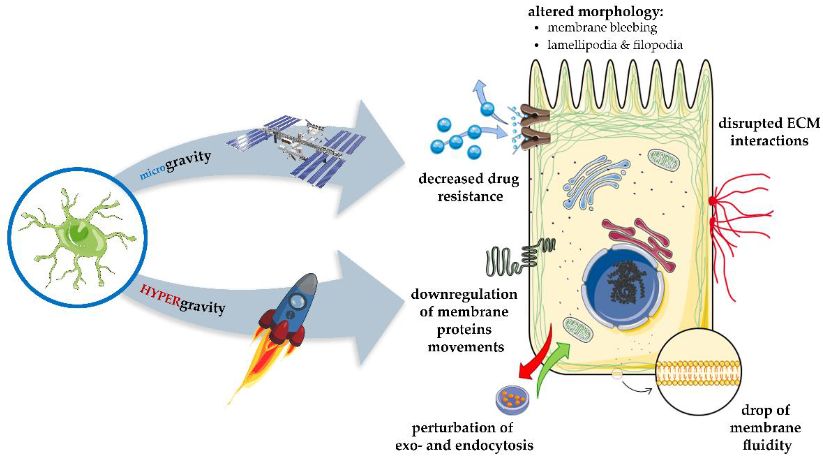 Molecules 26 01850 g005