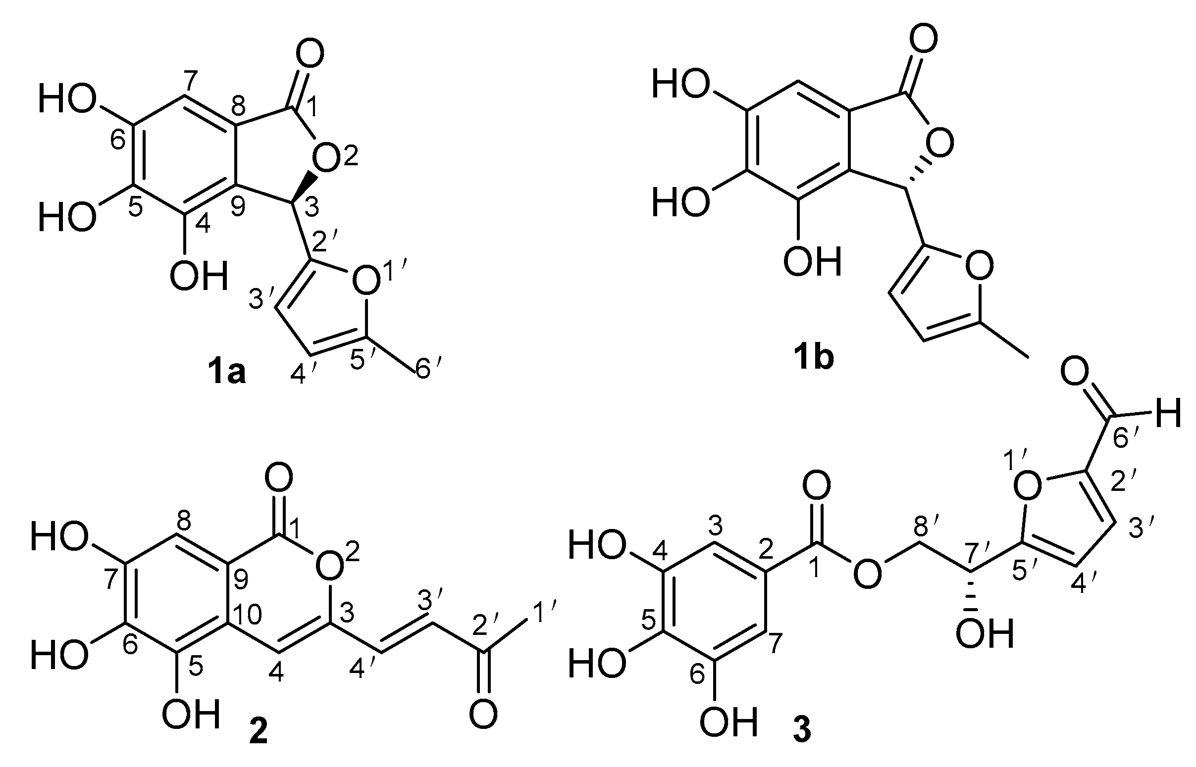 Molecules 26 01851 g001