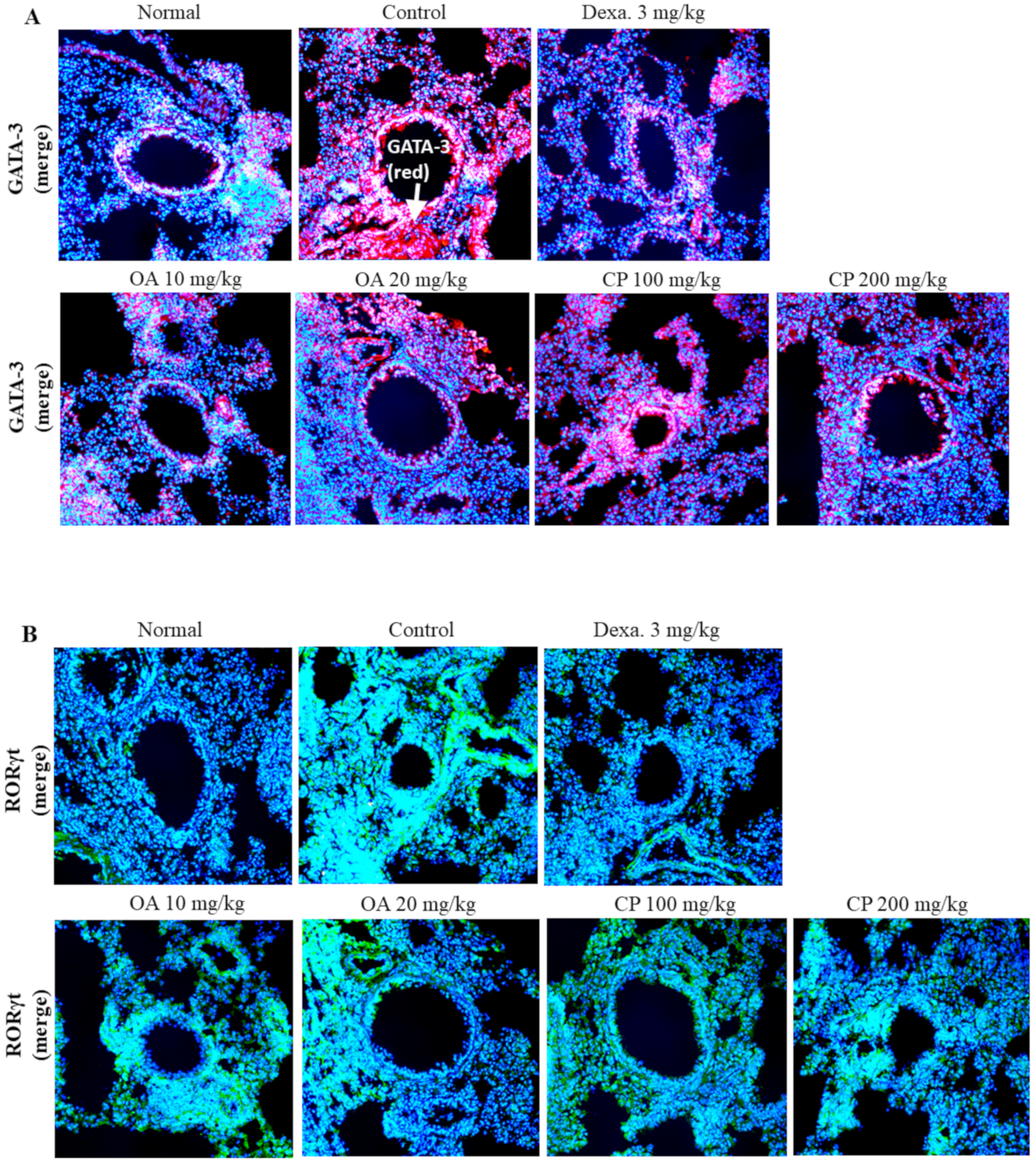 Molecules 26 01854 g005a