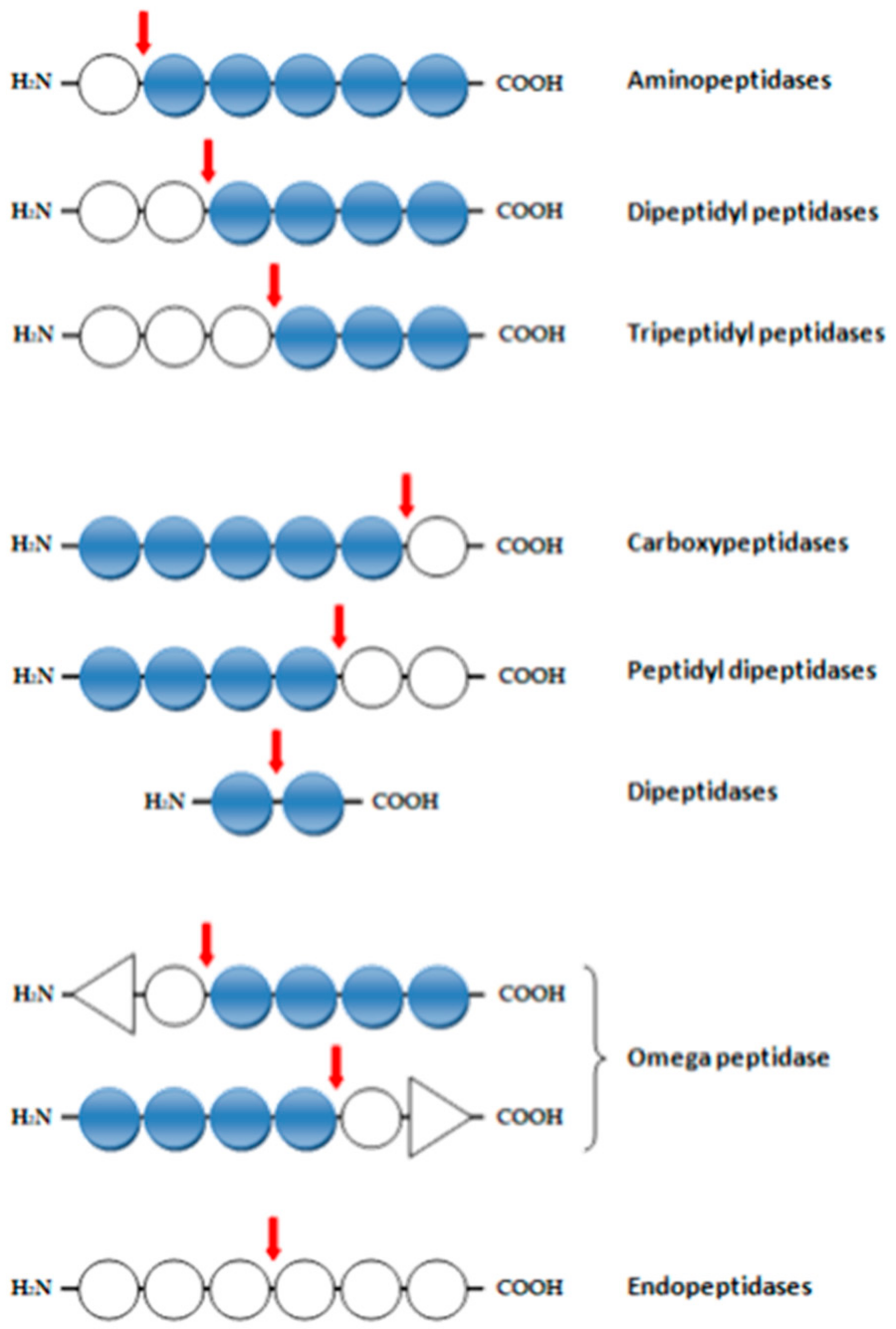 Molecules 26 01858 g001 Molecules 26 01858 g001