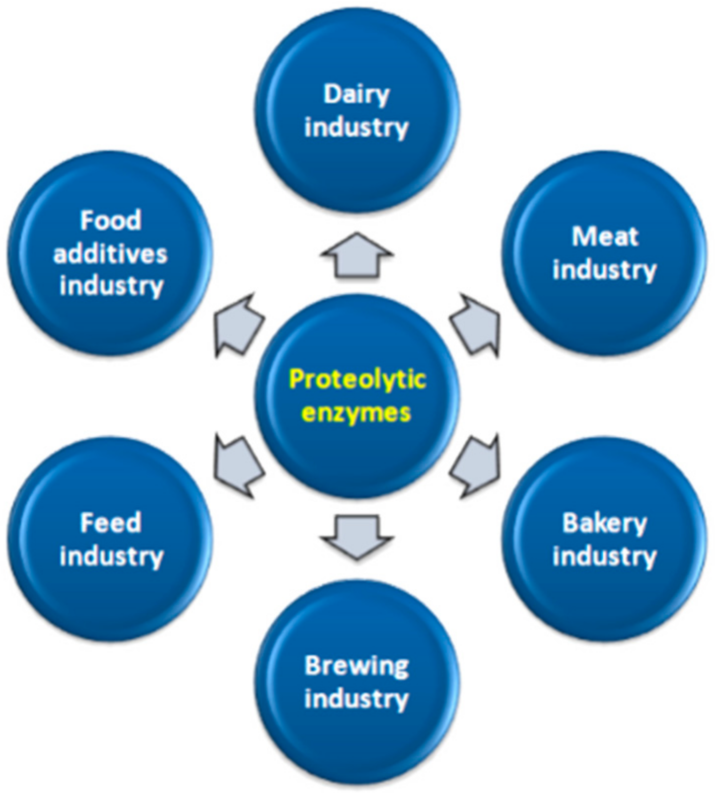 Molecules 26 01858 g003 Molecules 26 01858 g003