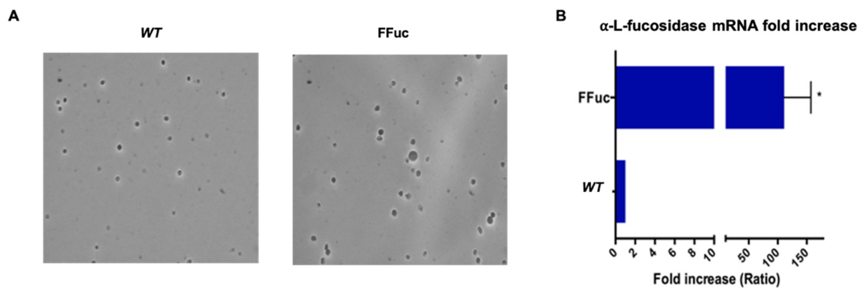 Molecules 26 01861 g003 Molecules 26 01861 g003