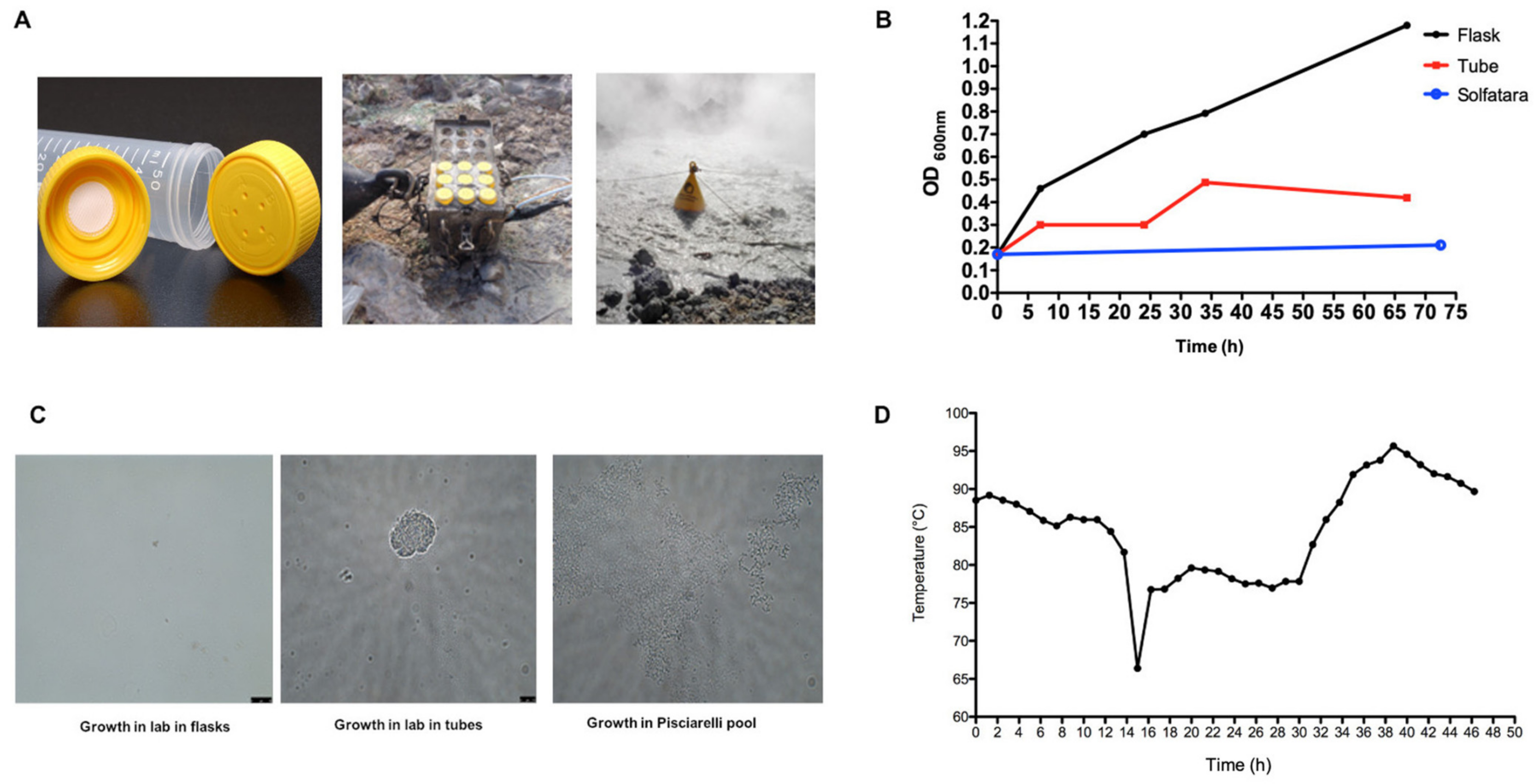 Molecules 26 01861 g004 Molecules 26 01861 g004