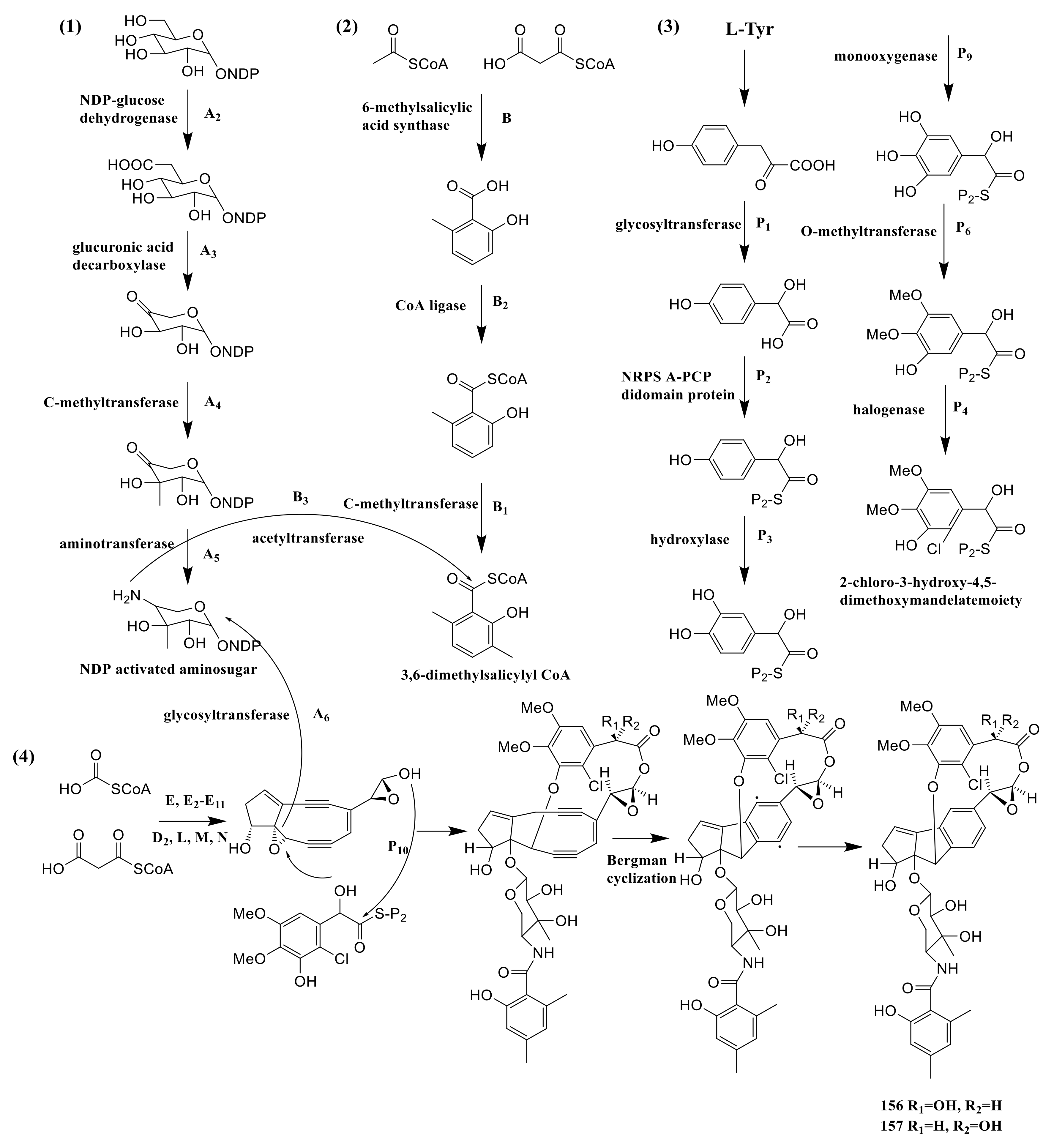 Molecules 26 01884 g012