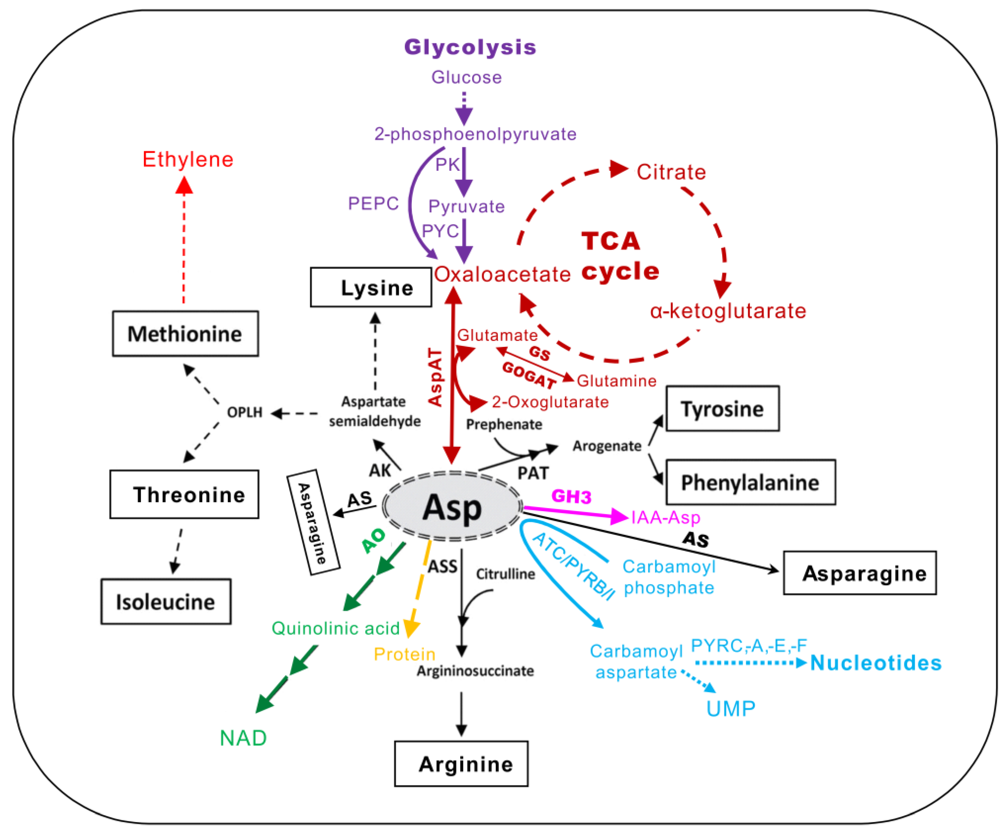 Molecules 26 01887 g001 Molecules 26 01887 g001