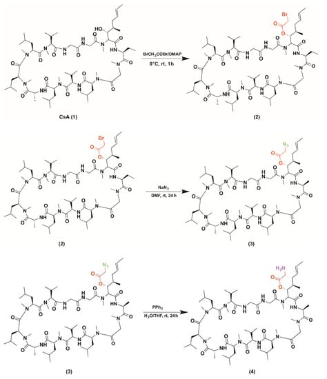Molecules 26 01889 g001a Molecules 26 01889 g001a