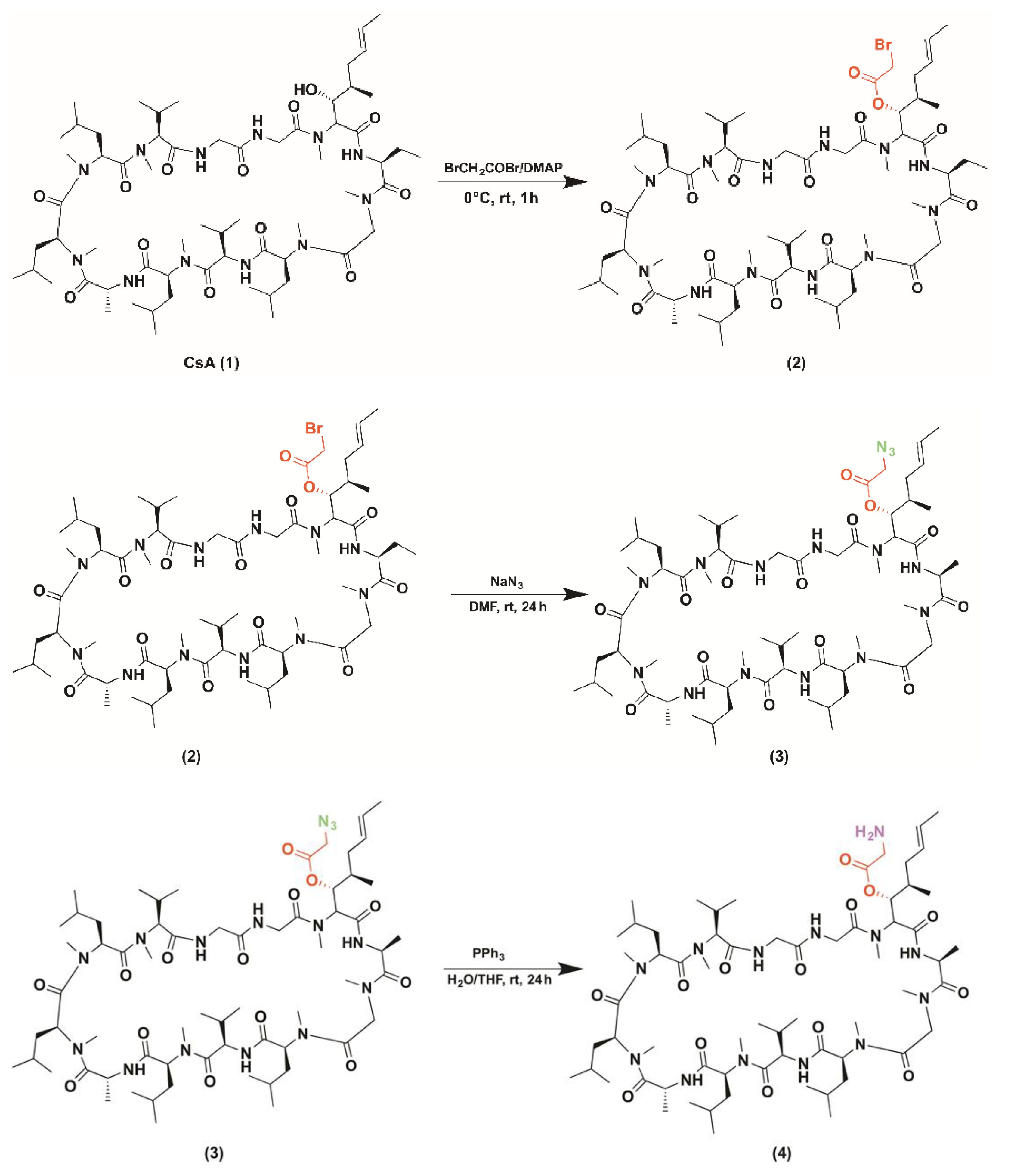 Molecules 26 01889 g001a Molecules 26 01889 g001a