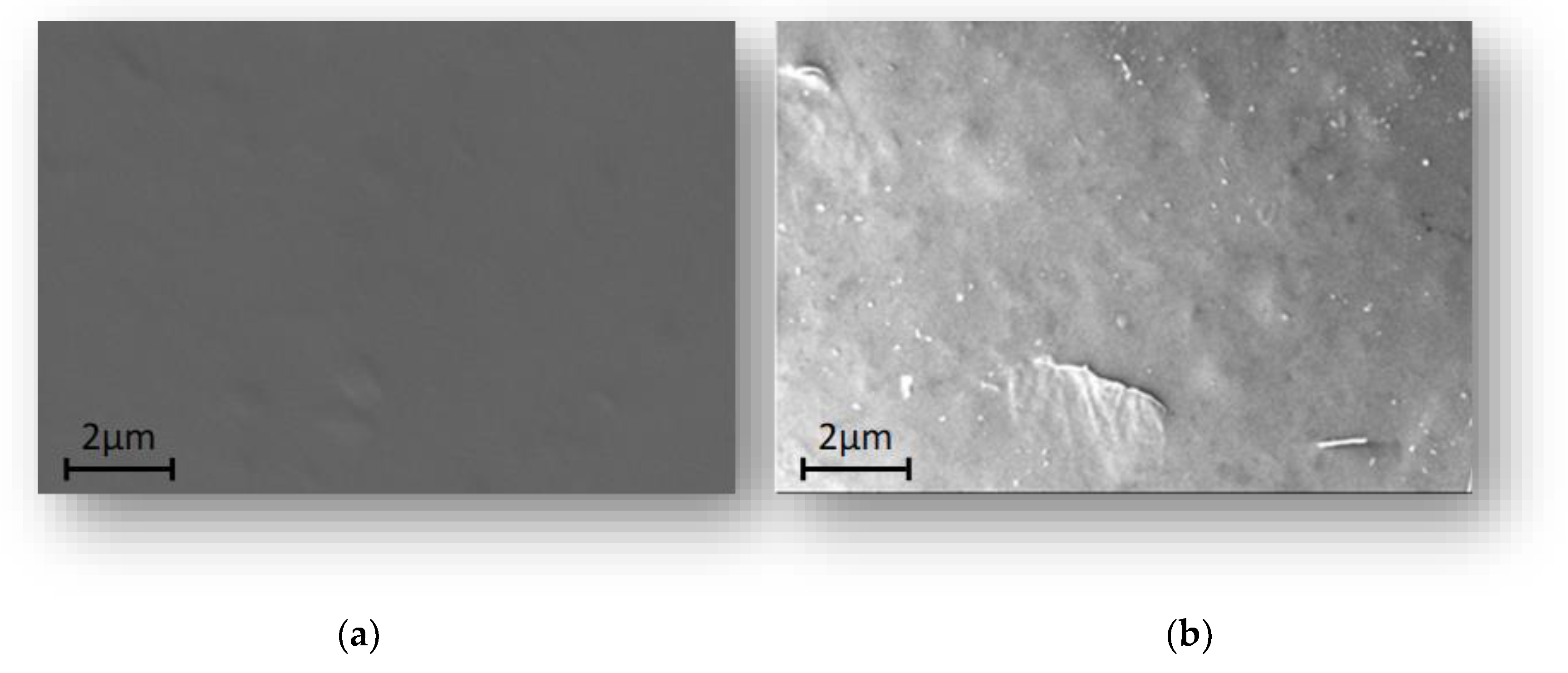 Molecules 26 01889 g006 Molecules 26 01889 g006