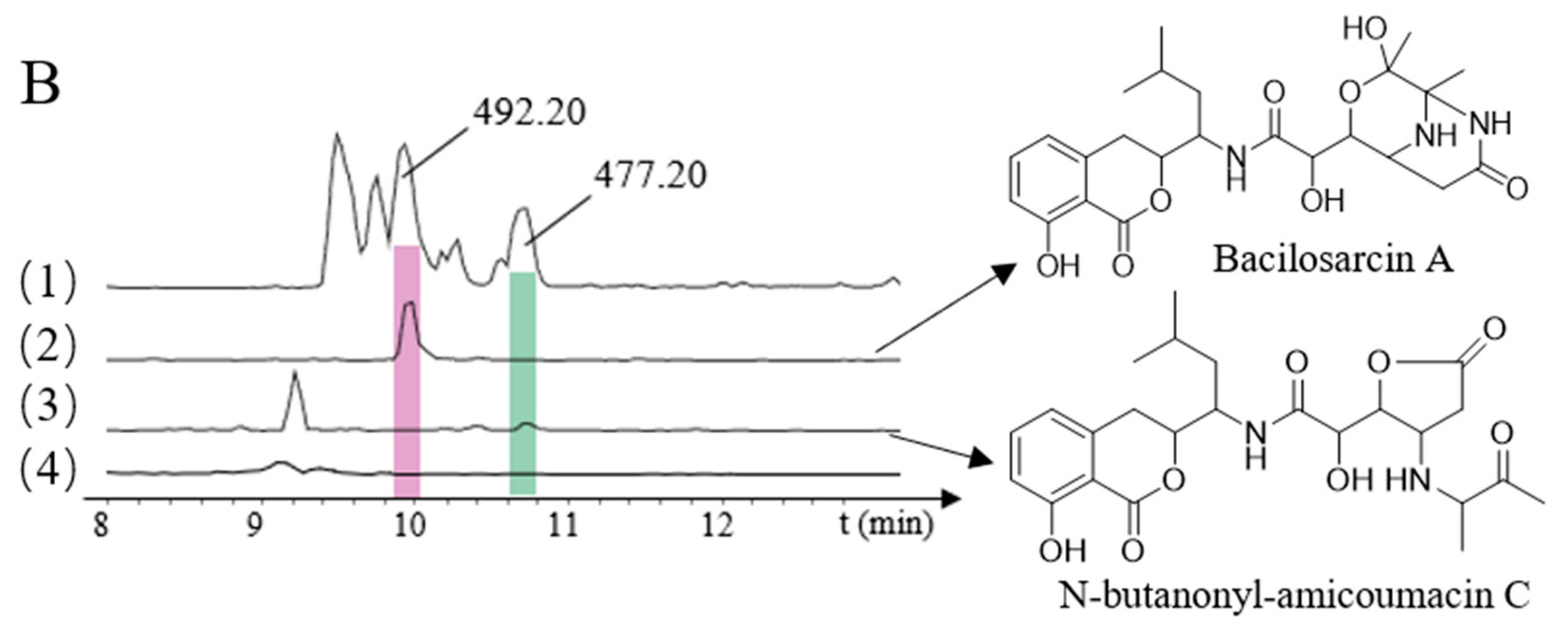 Molecules 26 01892 g003b Molecules 26 01892 g003b