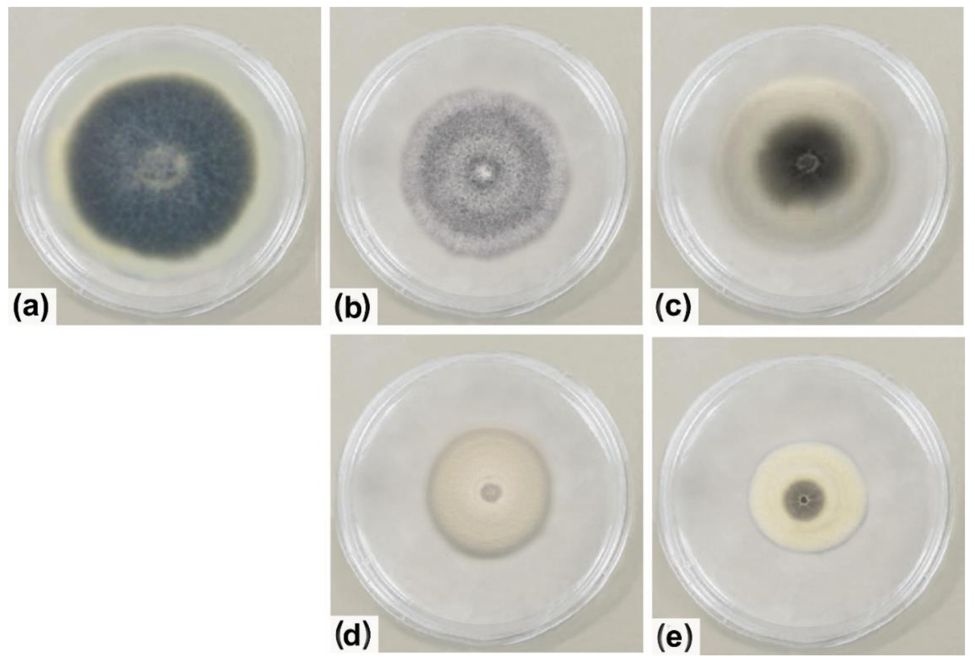 Molecules 26 01893 g011
