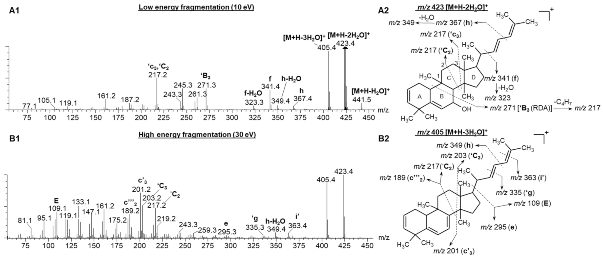 Molecules 26 01896 g003