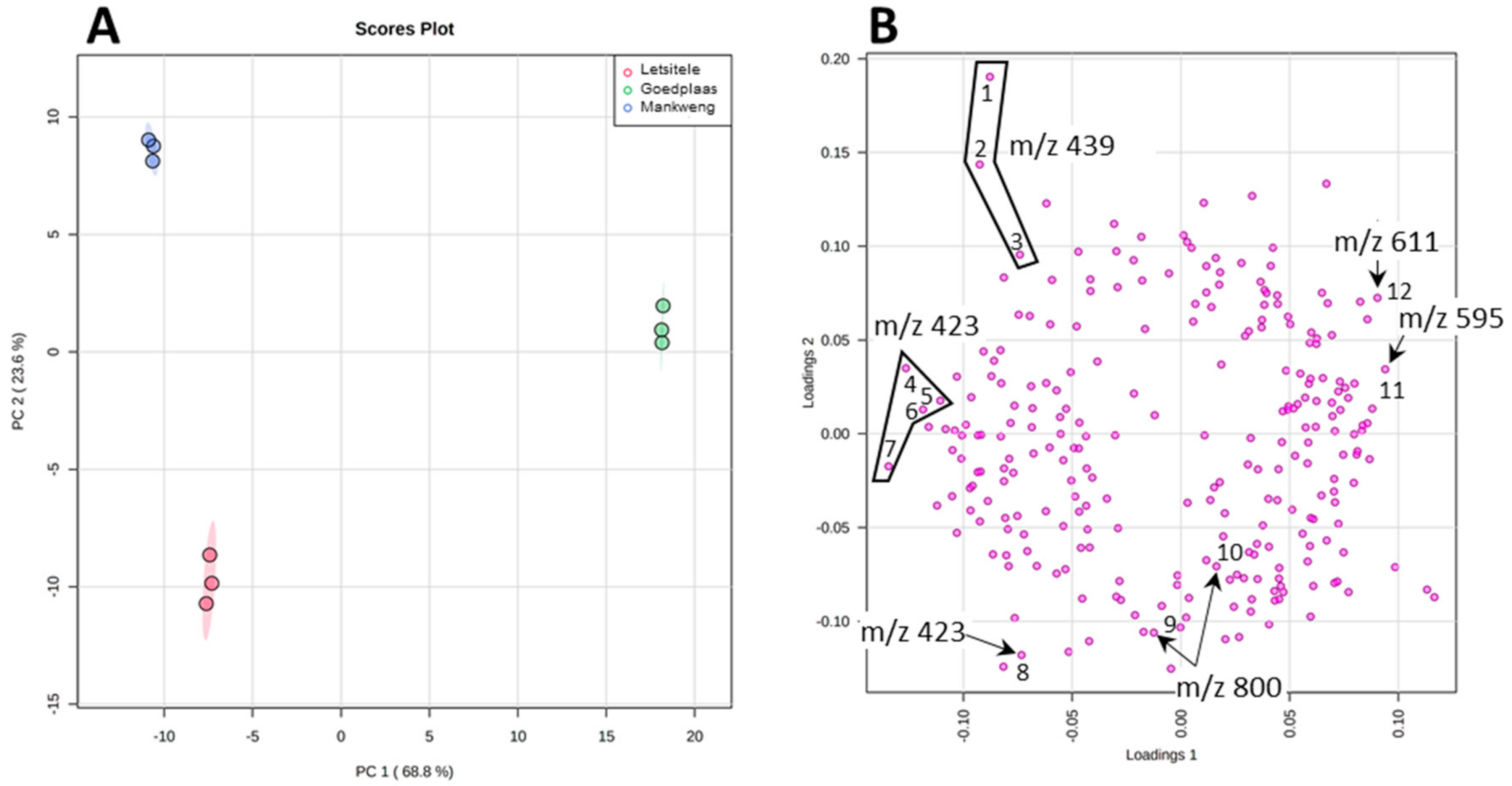 Molecules 26 01896 g004