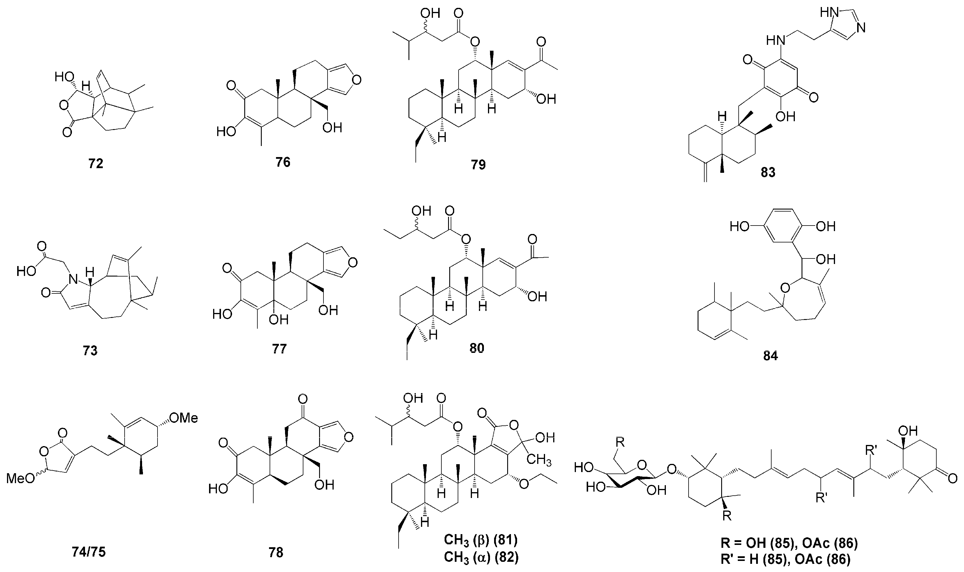 Molecules 26 01898 g006