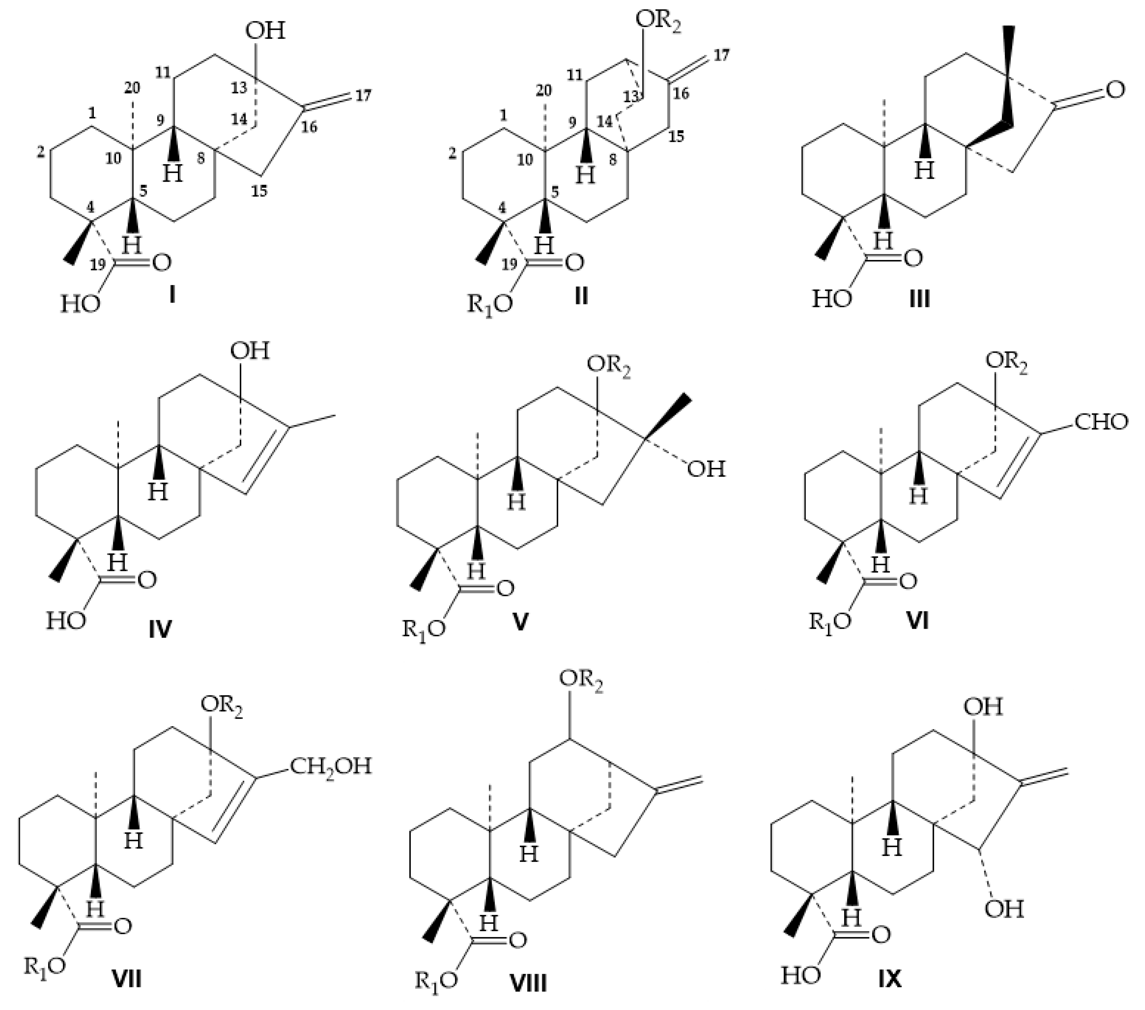 Molecules 26 01915 g001