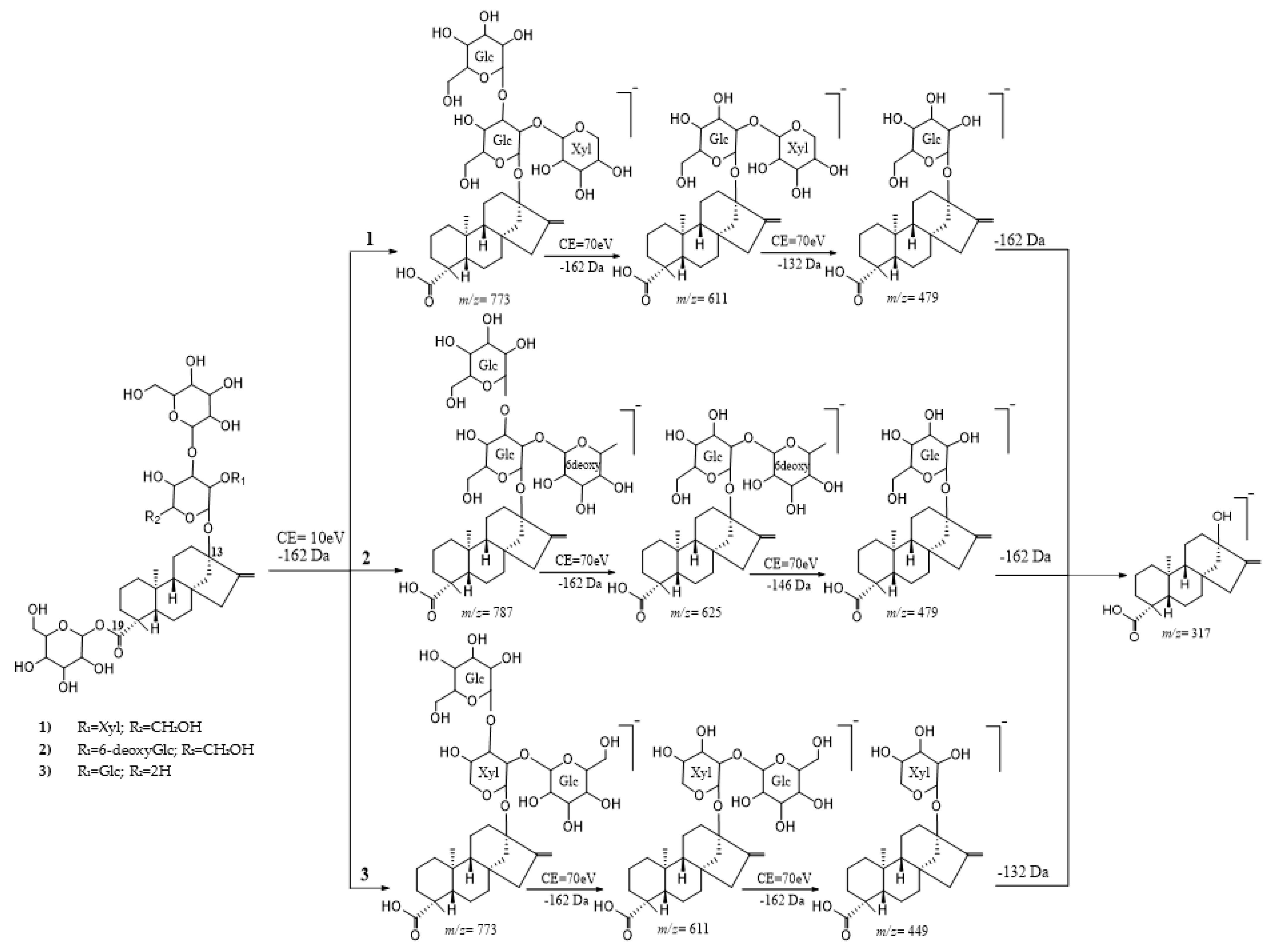 Molecules 26 01915 g005