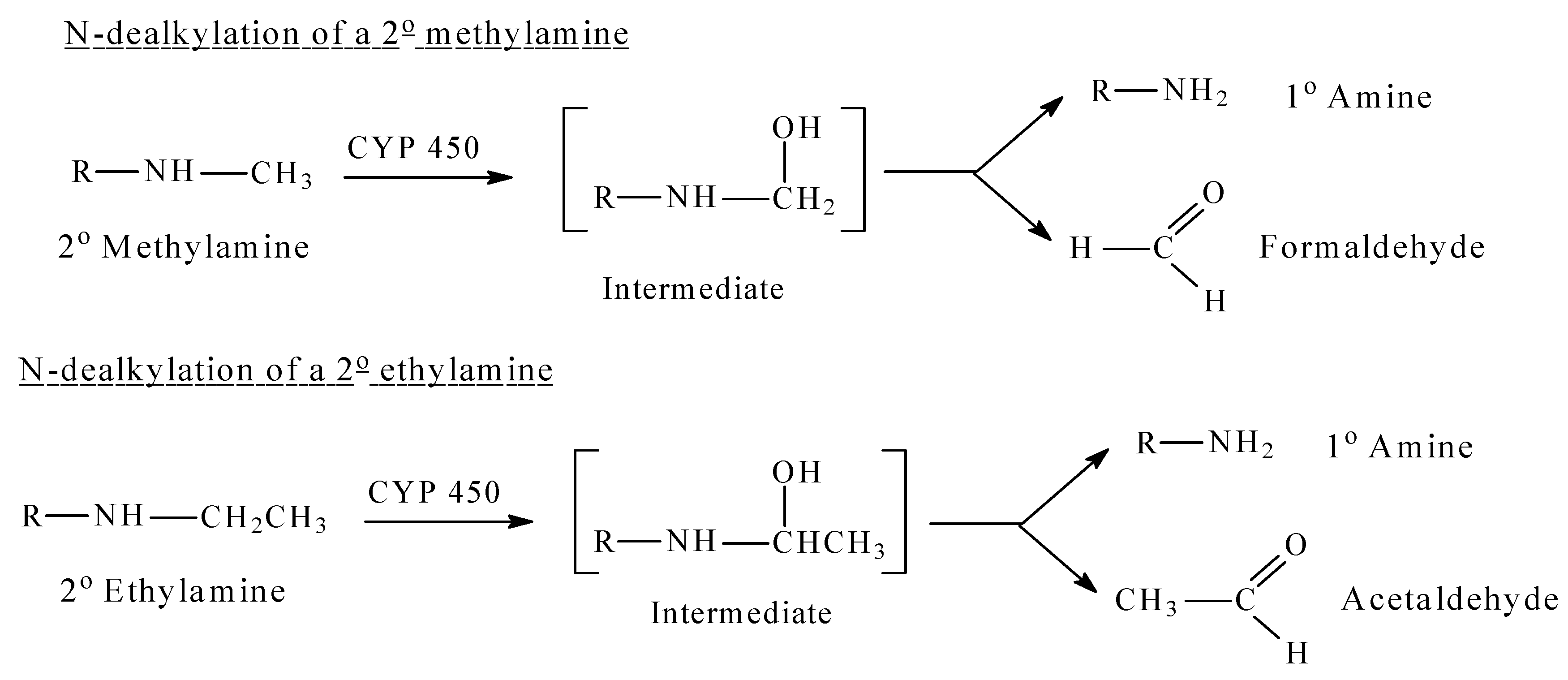 Molecules 26 01917 g001