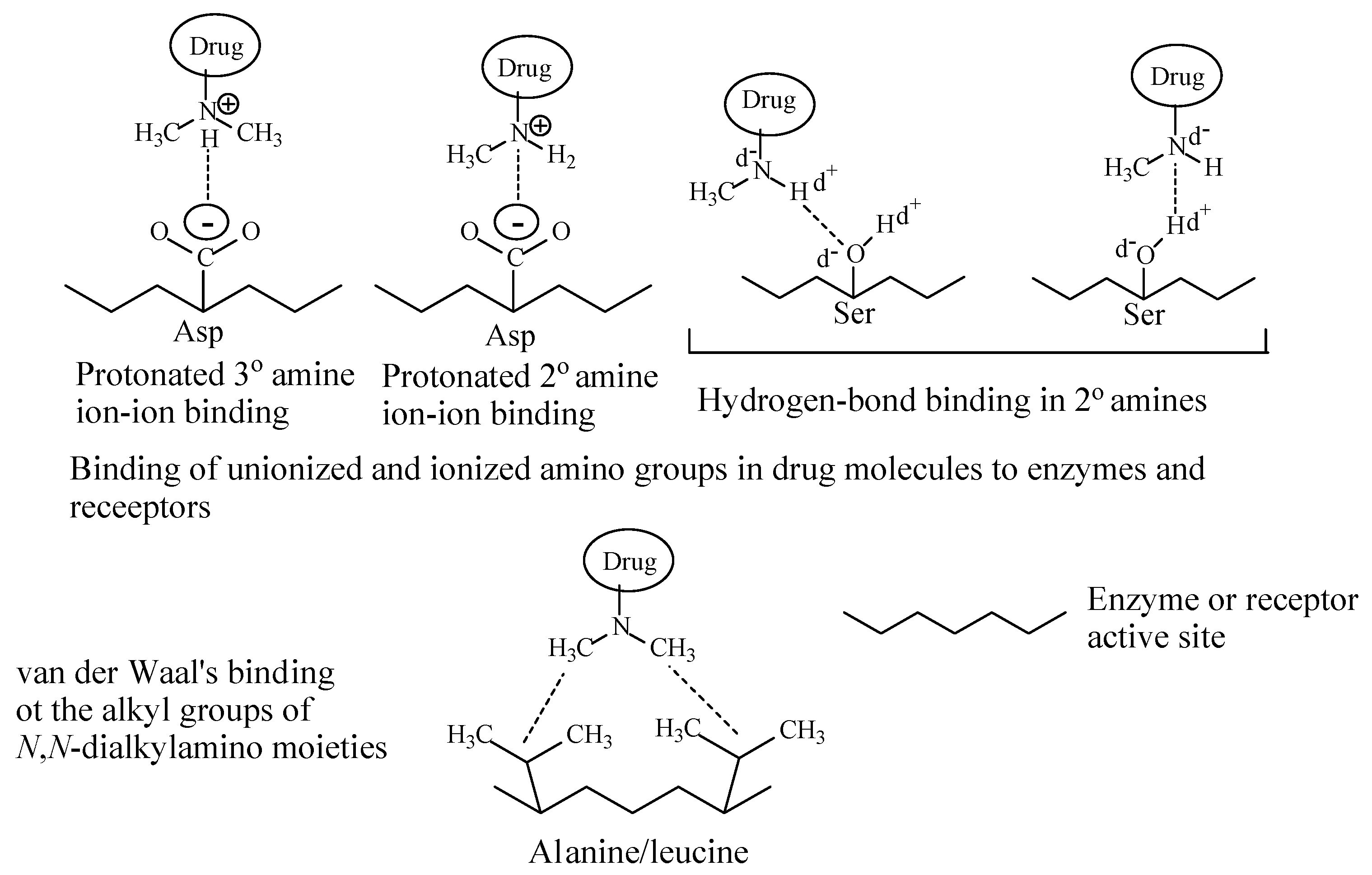 Molecules 26 01917 g002