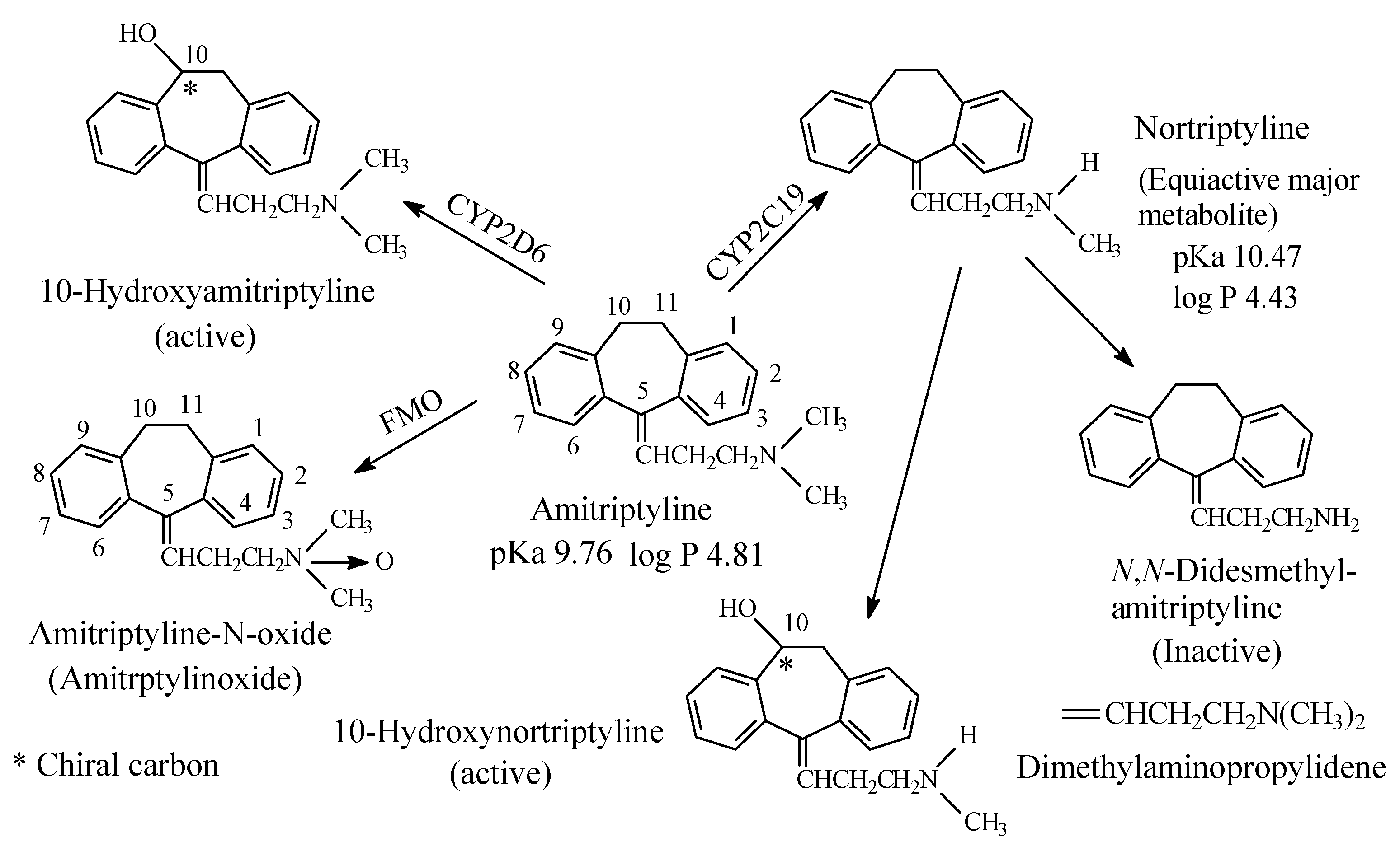 Molecules 26 01917 g004