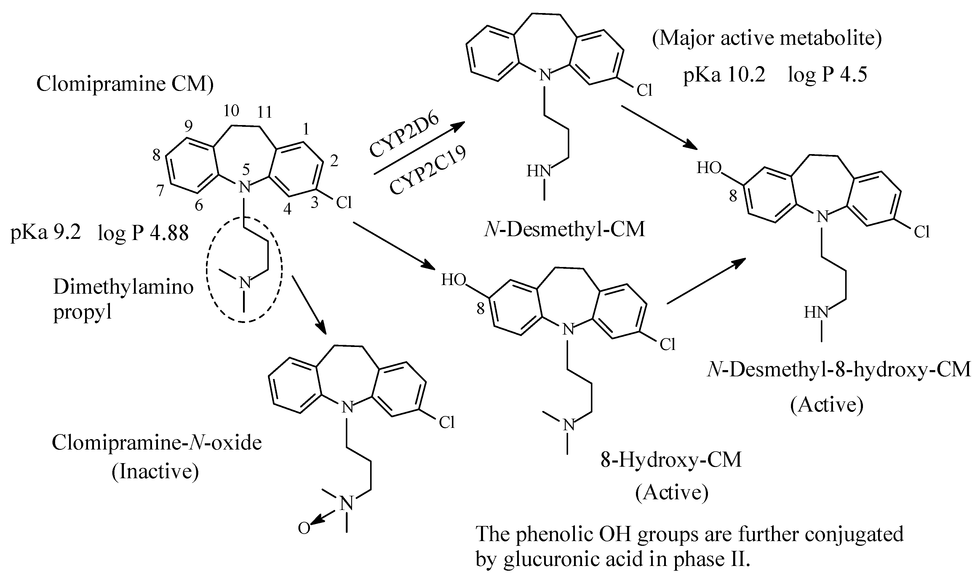 Molecules 26 01917 g005