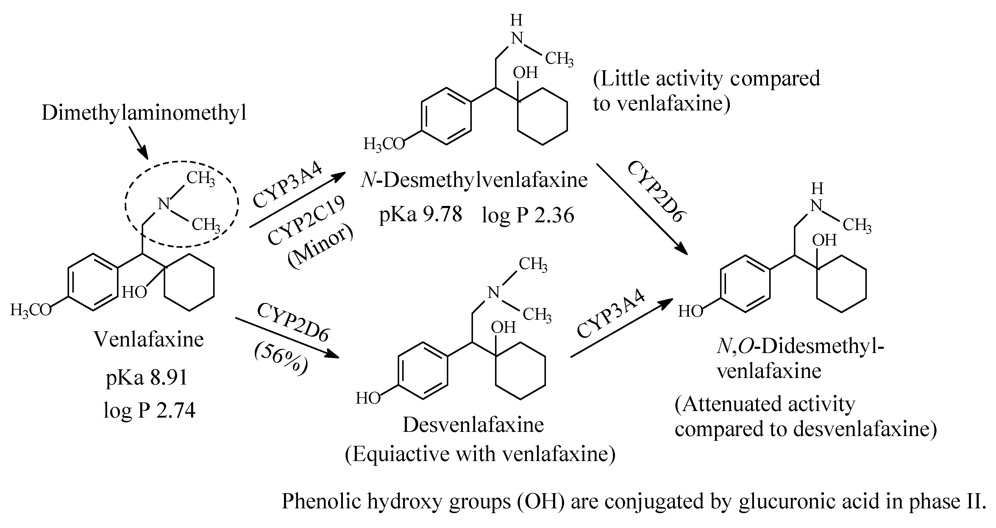 Molecules 26 01917 g006